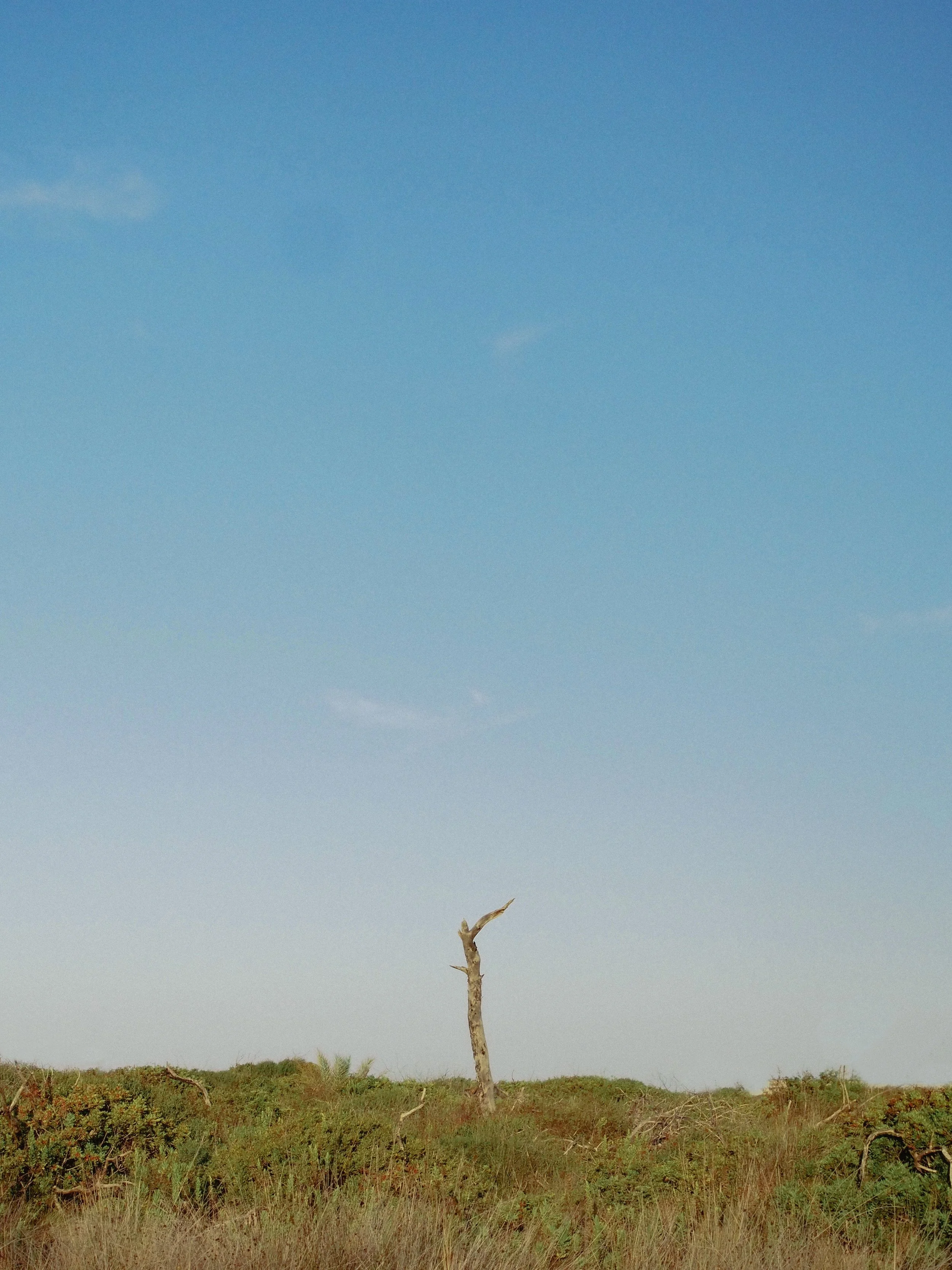 P1010029.jpg