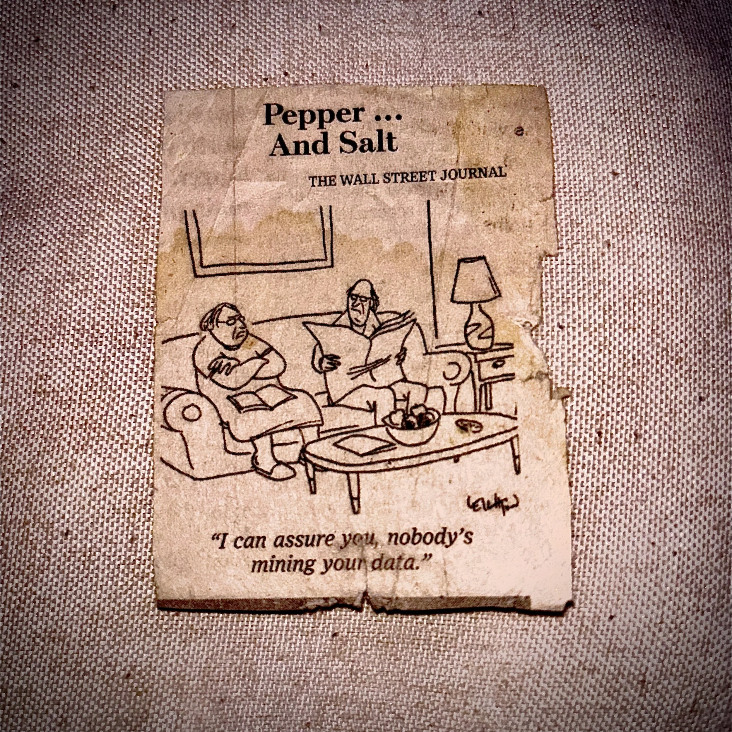 A torn piece of paper with handwritten words reading "Pepper... And Salt" from The Wall Street Journal, placed on a textured pink fabric surface.