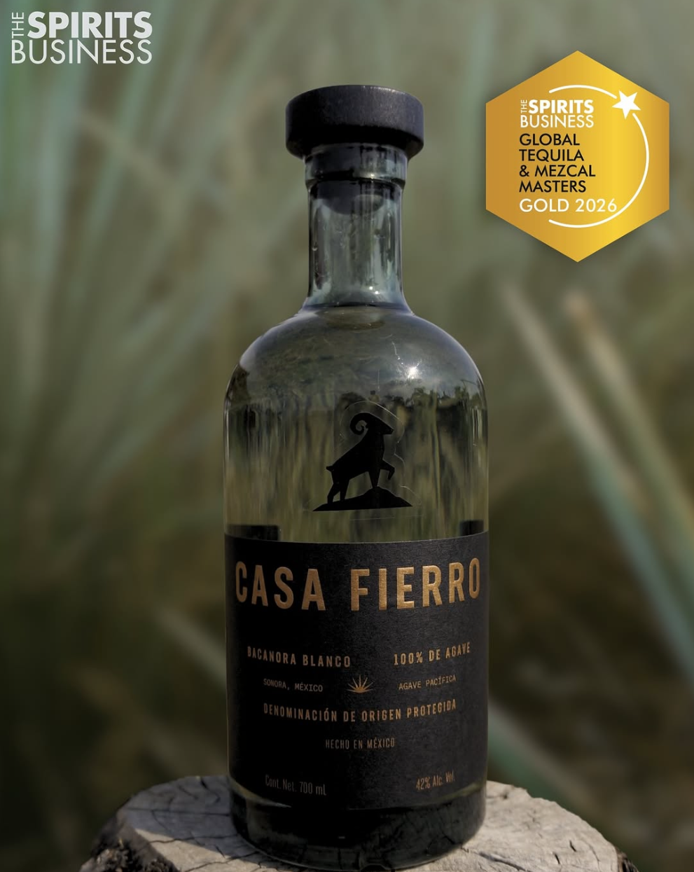 Dark green grey smoky bottle Casa Fierro Bacanora Blanco Tequila Mezcal 100% Agave Spirit black label copper letters tree stump outdoors. Sonora, Mexico, 42% alcohol, awarded Gold Medal 2026 Global Tequila and Mezcal Masters by Spirits Business