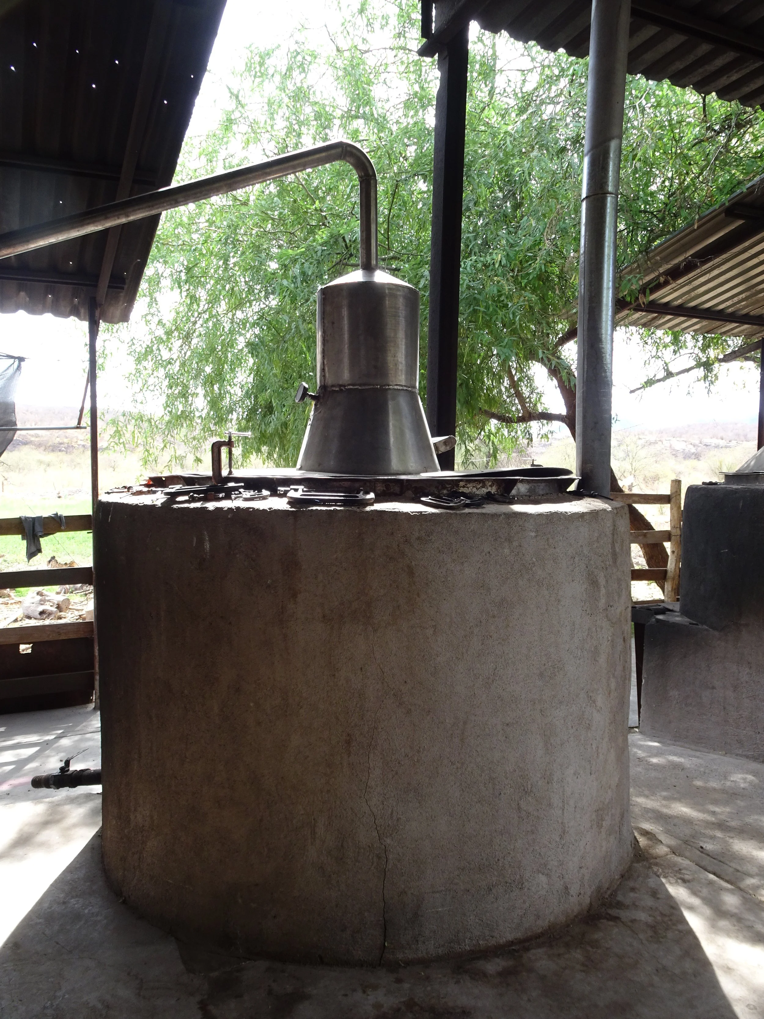 Large concrete water tank stainless steel pot still, outdoors under a metal roof, trees and open land in the background.  Double distilled distillation.  Spirit condenses in copper coils.