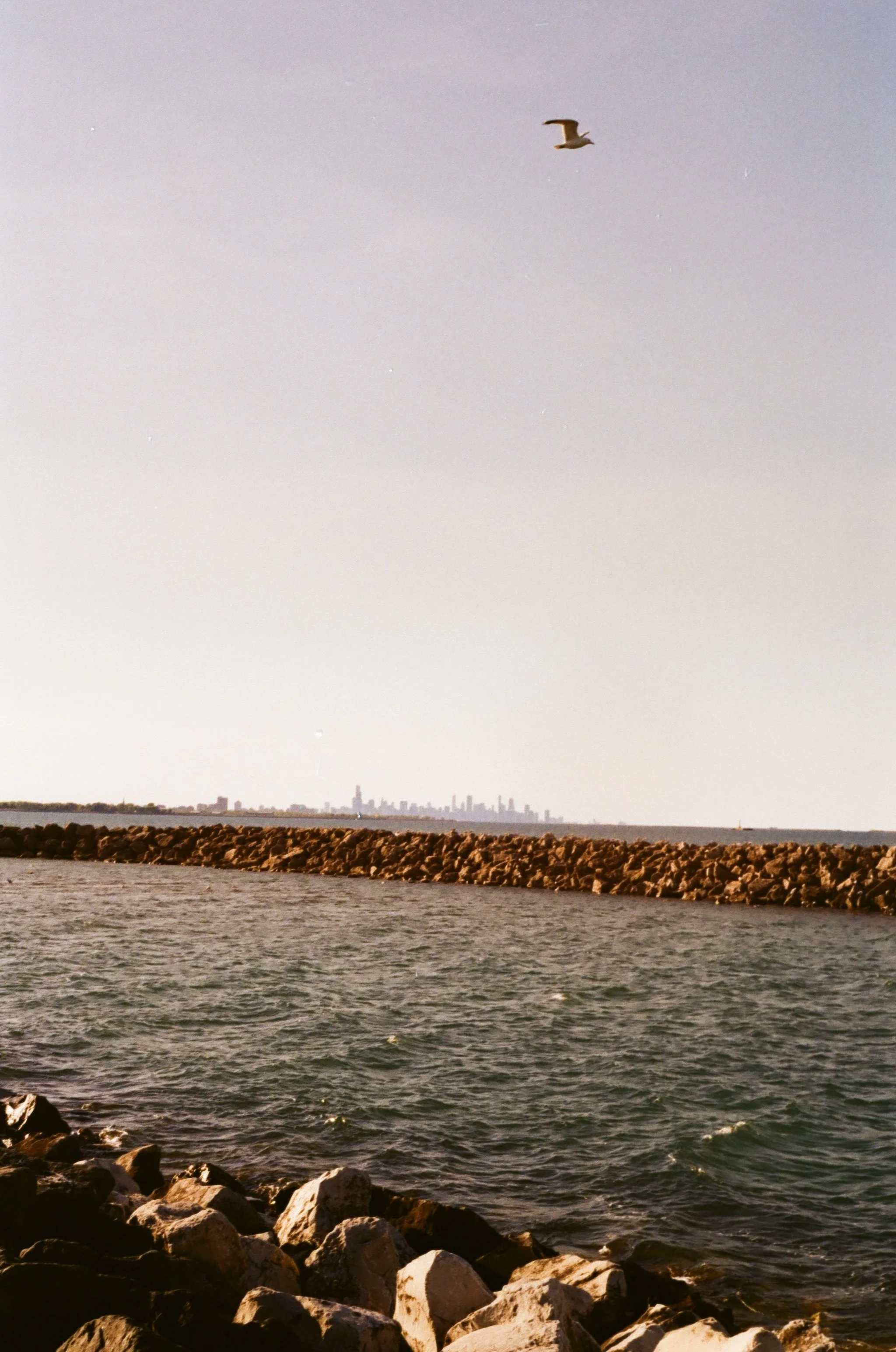 Canon AE-1 / Kodak Gold 200 Pushed +1 / May 2026