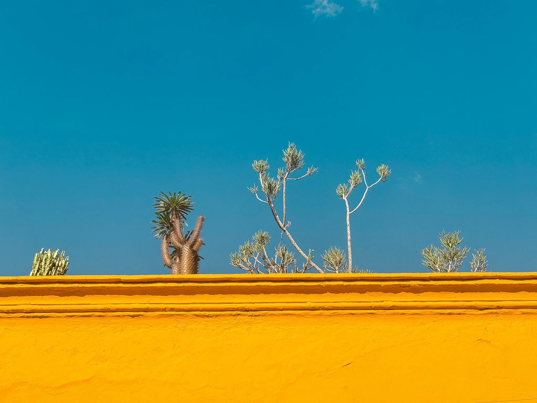 San Miguel de Allende - Travel
