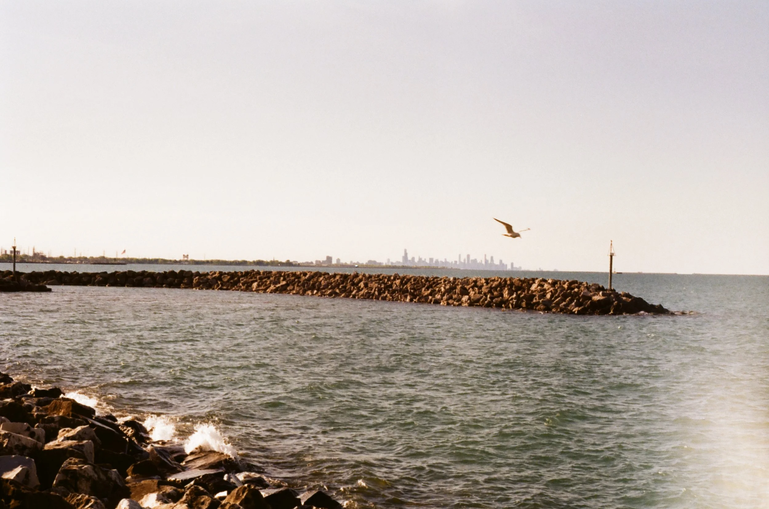 Canon AE-1 / Kodak Gold 200 Pushed +1 / May 2026