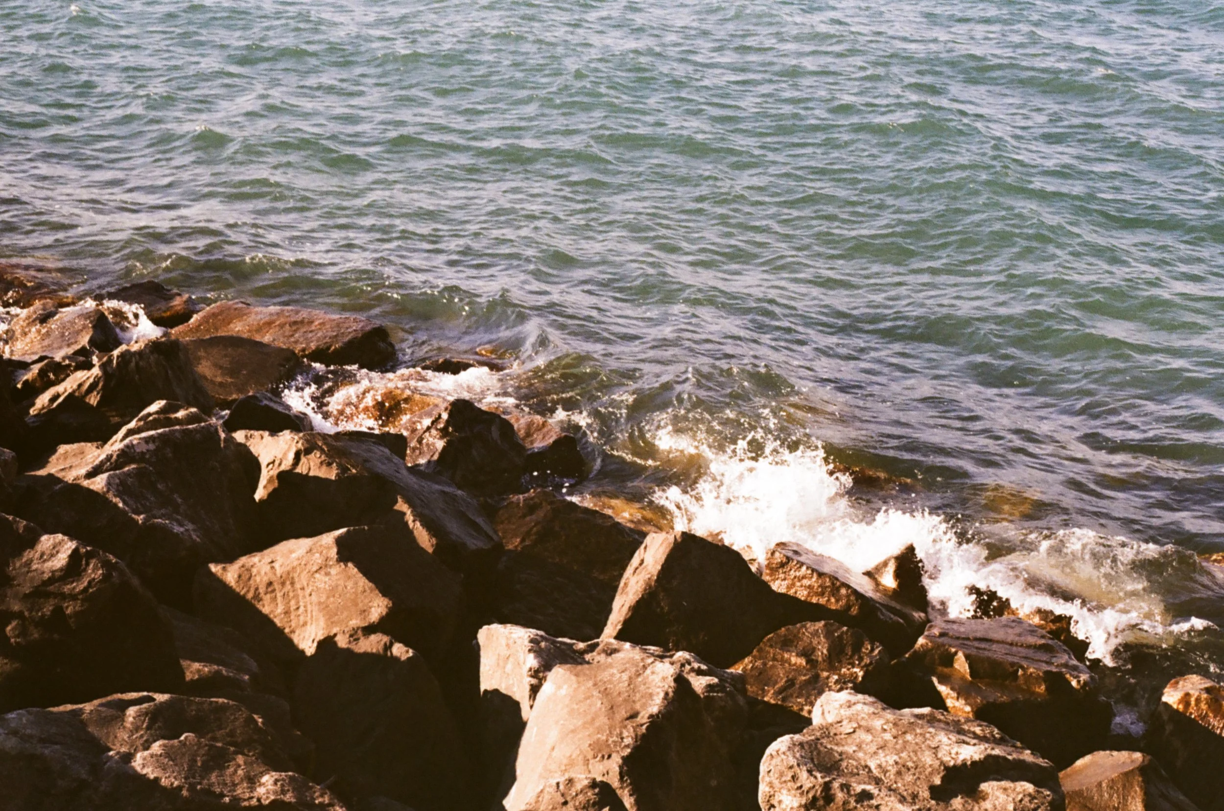 Canon AE-1 / Kodak Gold 200 Pushed +1 / May 2026