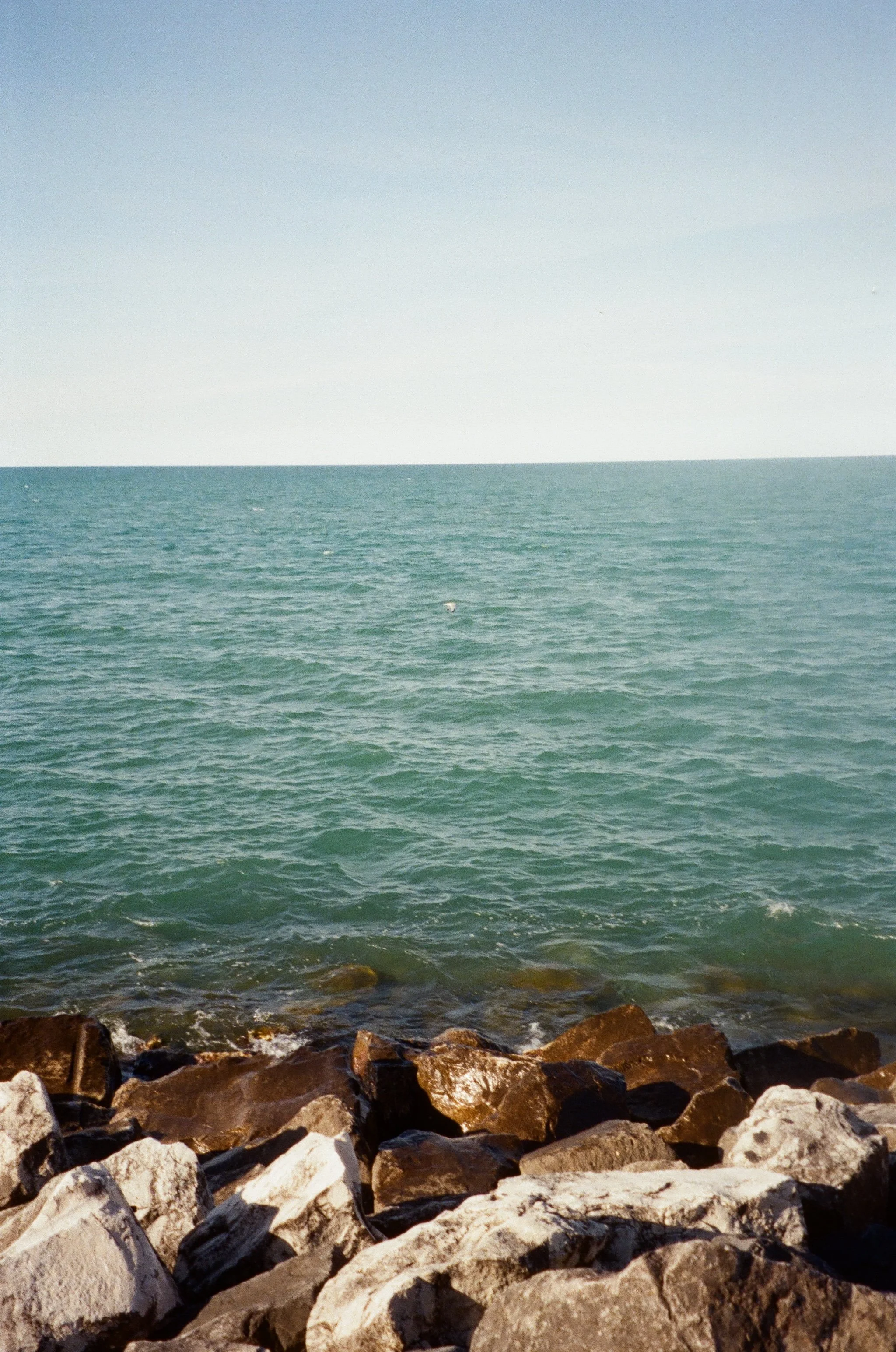 Canon SureShot / Kodak Ultramax 400