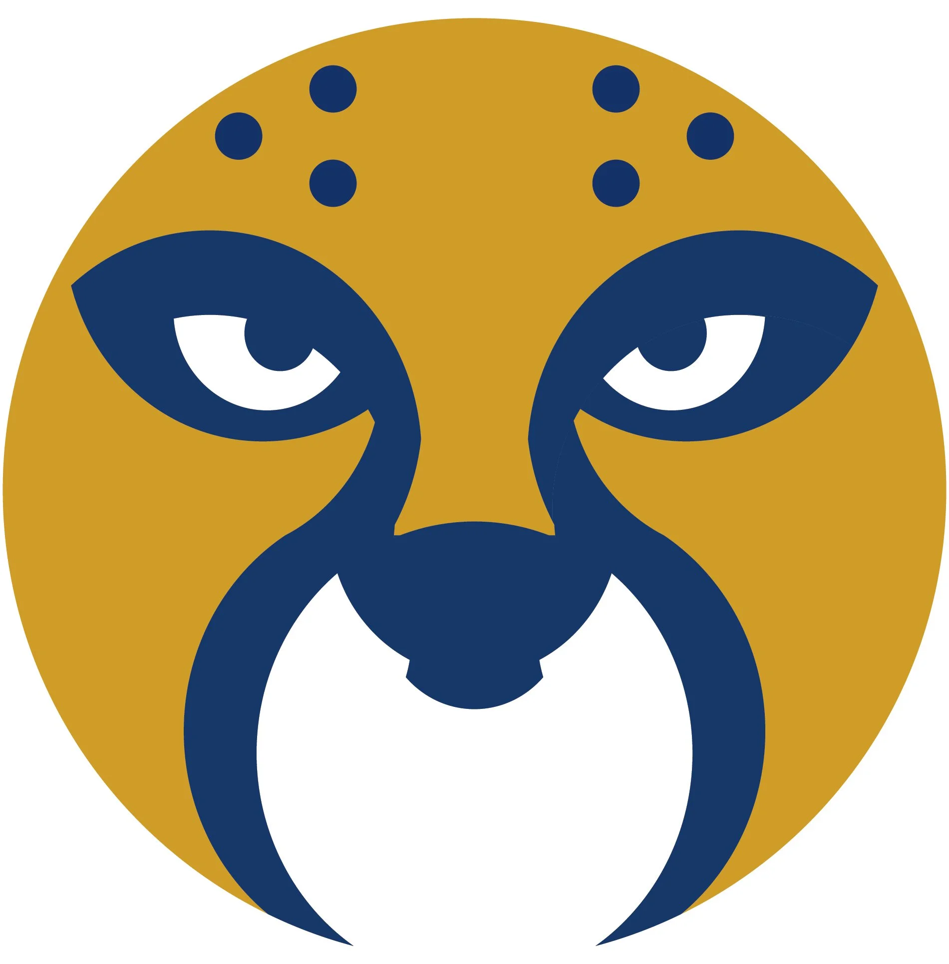cheetah-color.jpg