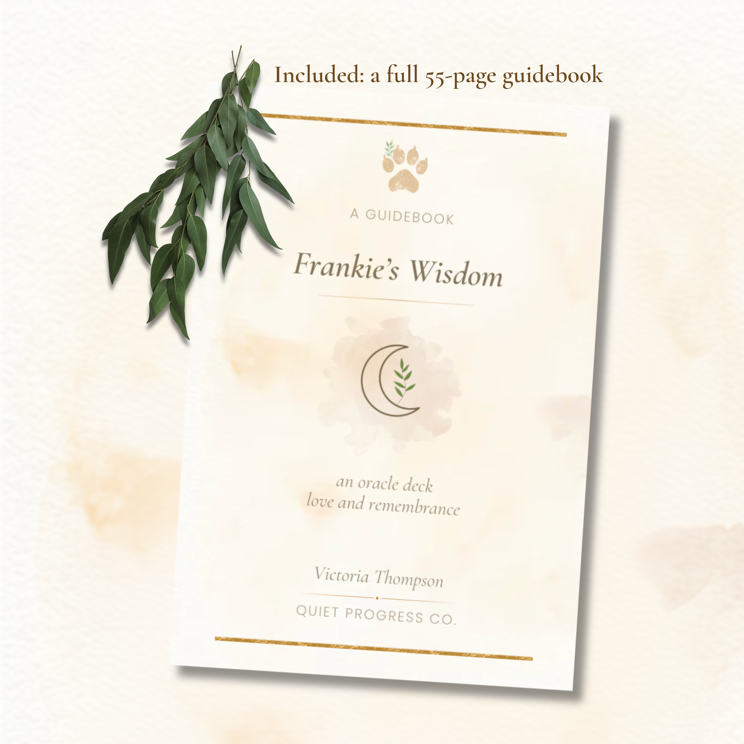 F5 Frankie Cover Guidebook Mockup.png
