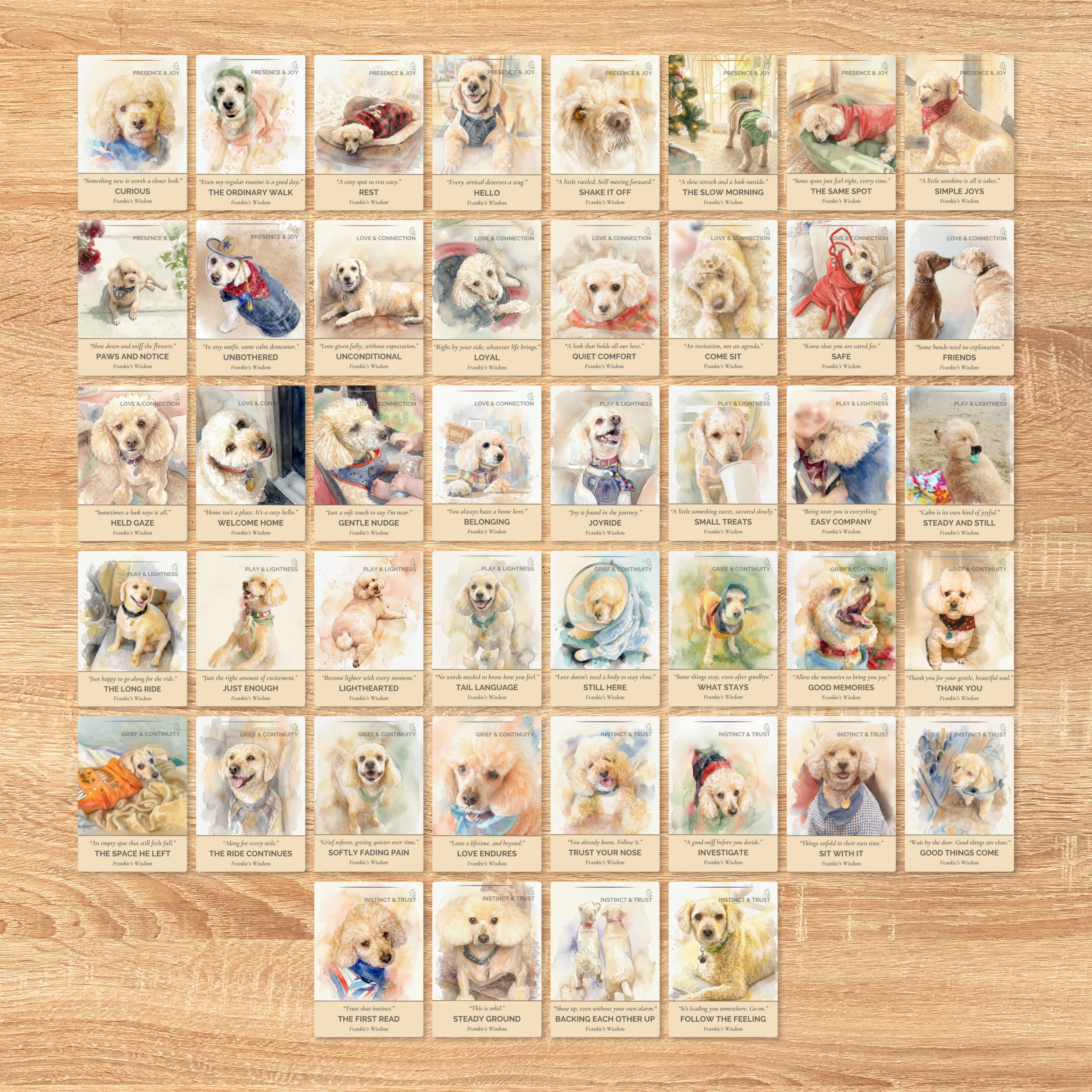 F2 Frankie 44 Cards Mockup.png