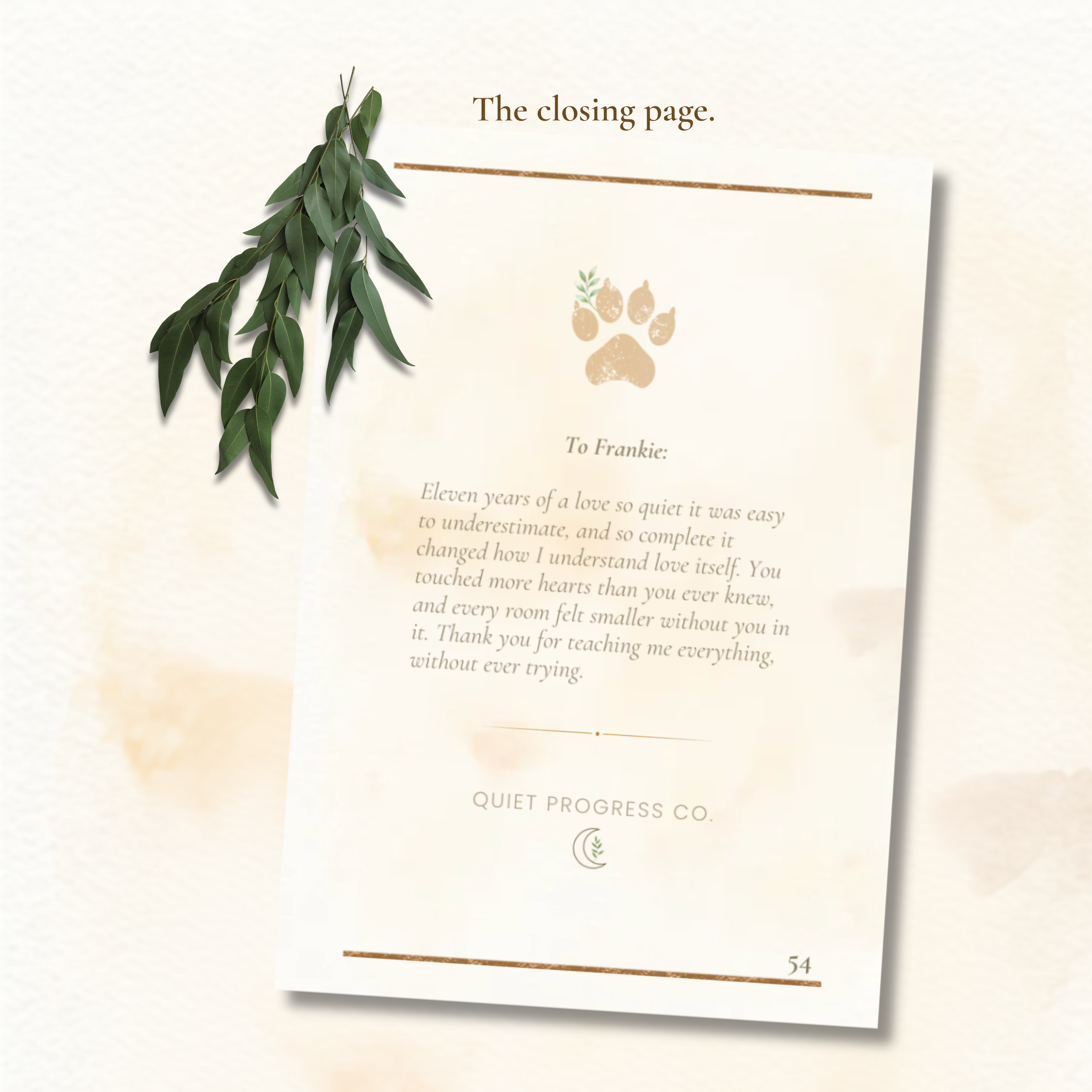 F7 Frankie Last Page Guidebook Mockup.png