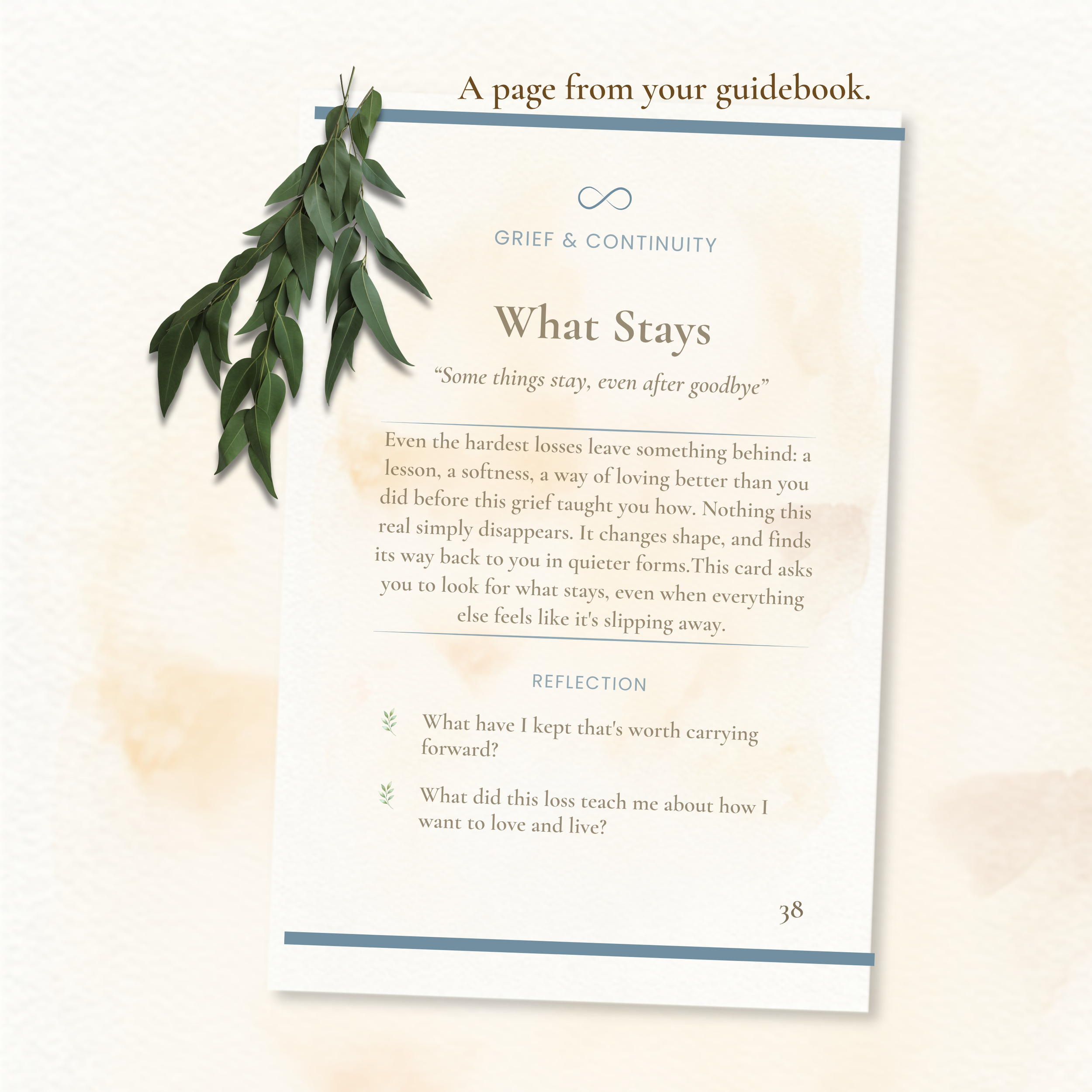 F6 Frankie 1-page guidebook Mockup.png