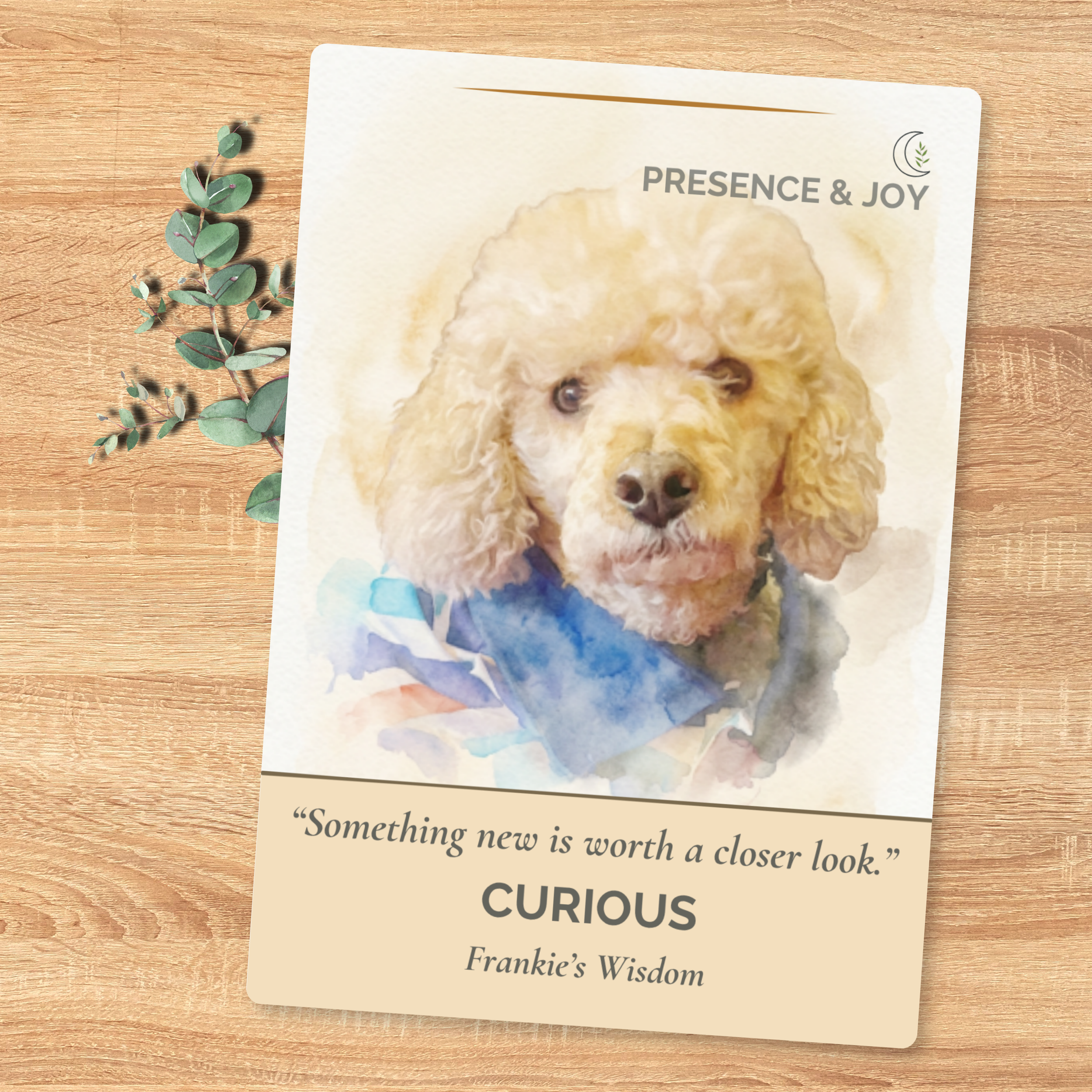F4 Frankie 1-card detail Mockup.png