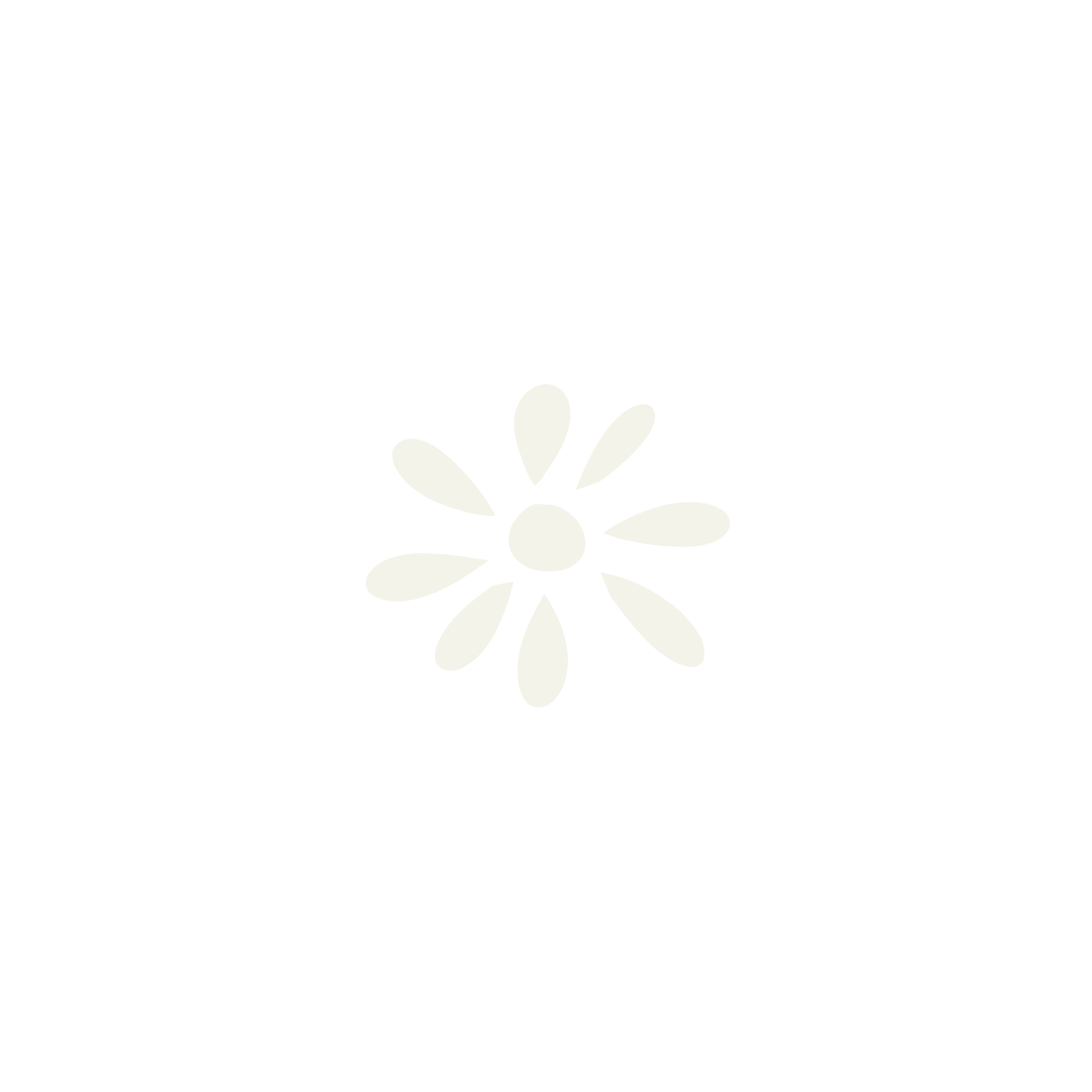 A black background with a white, minimalist flower with a circular center and eight elongated petals.
