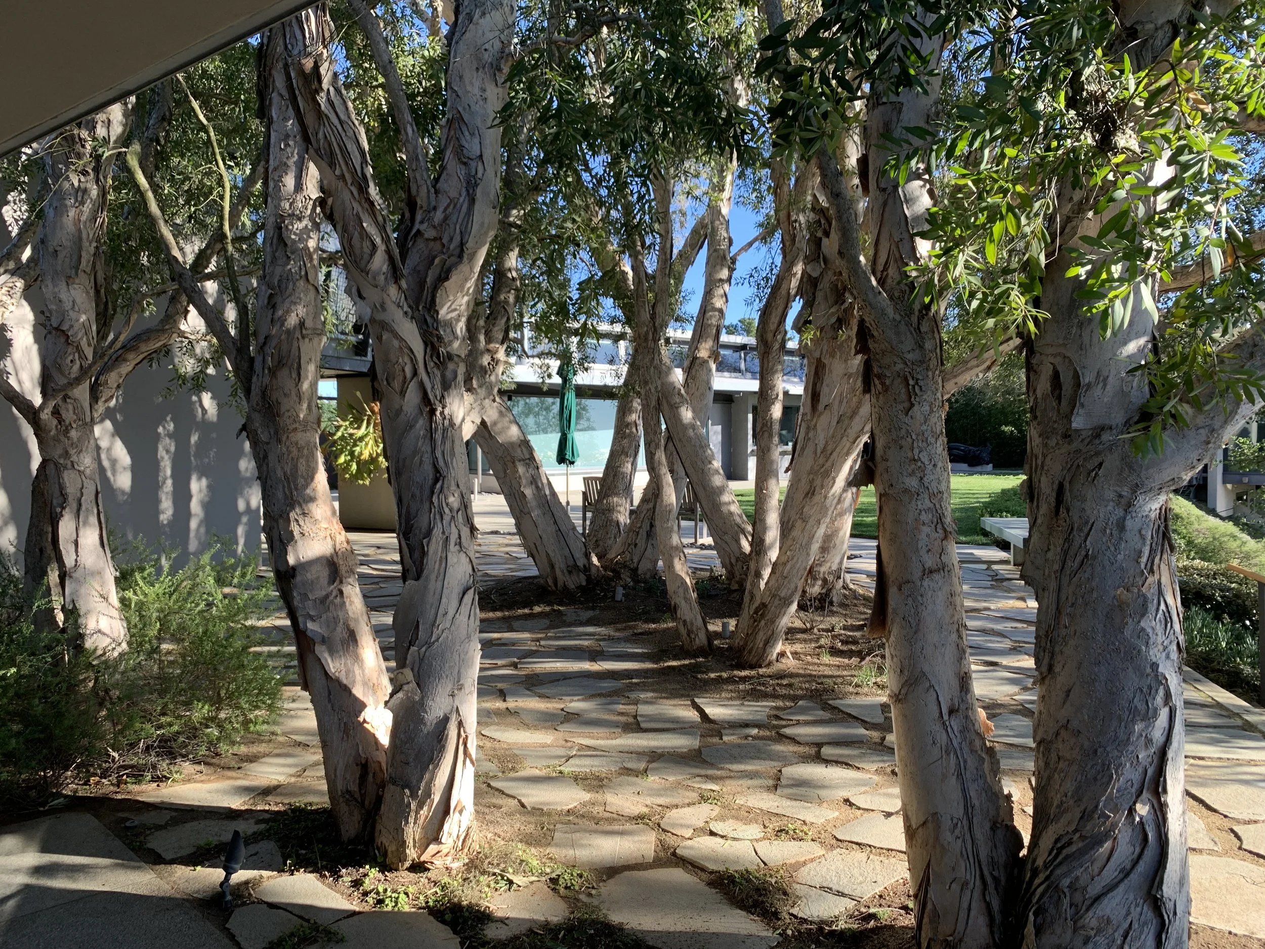 Beverly Hills Residence