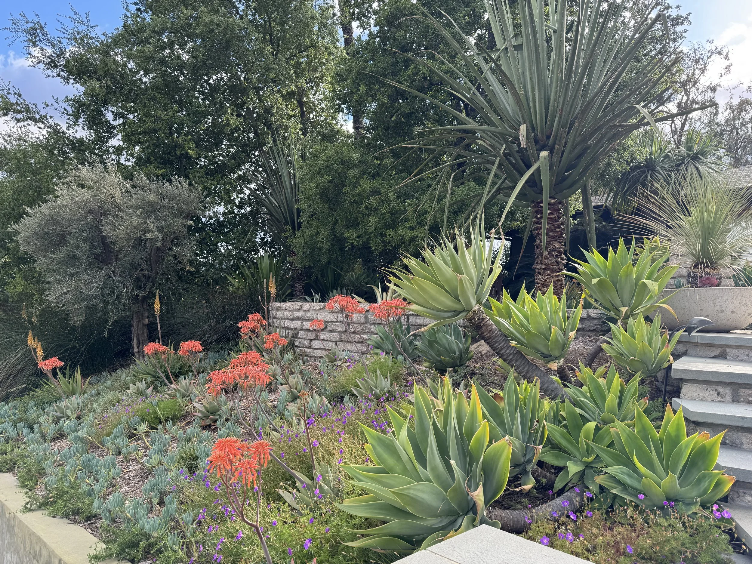Calabasas Residence 