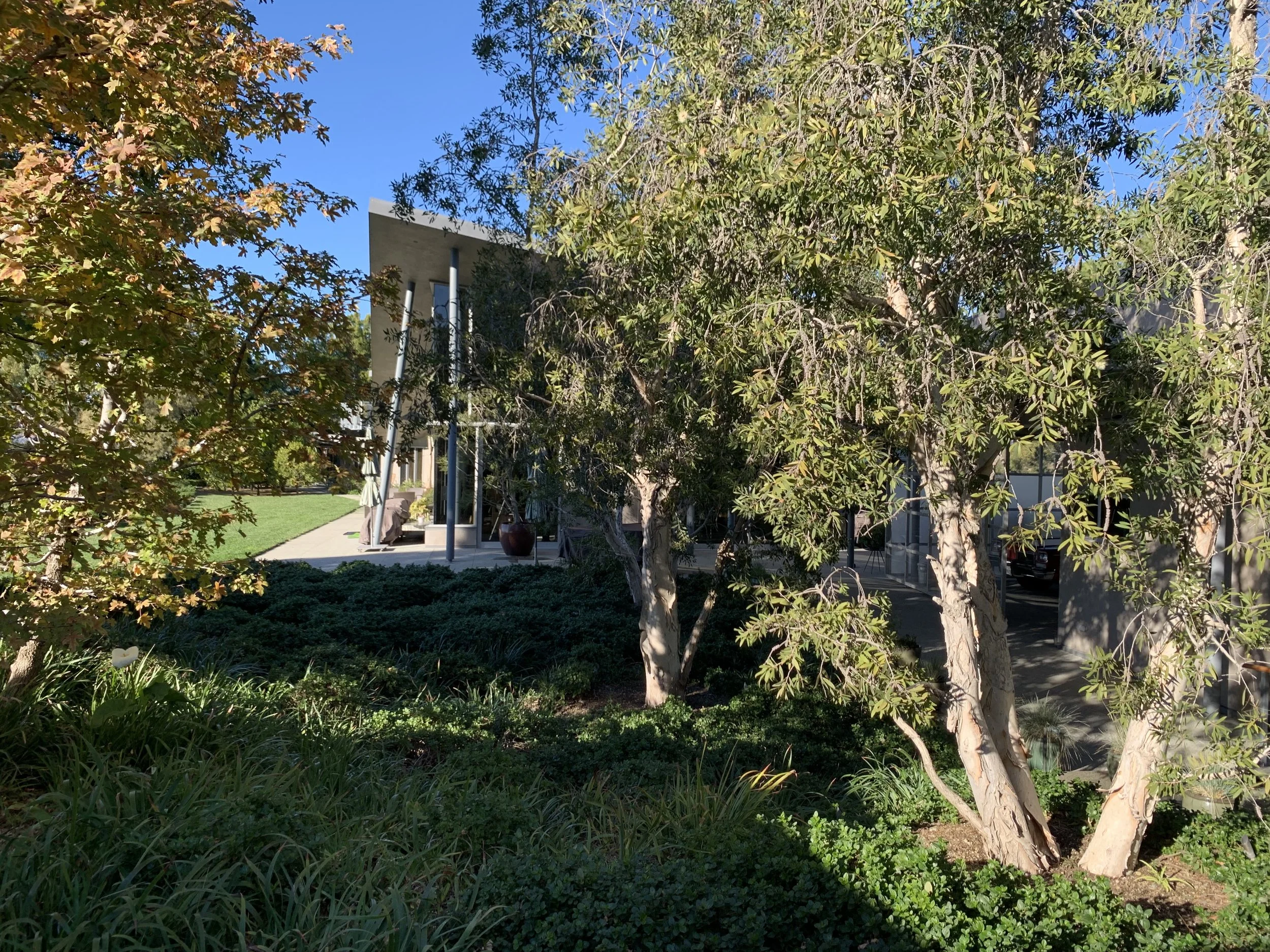 Beverly Hills Residence 