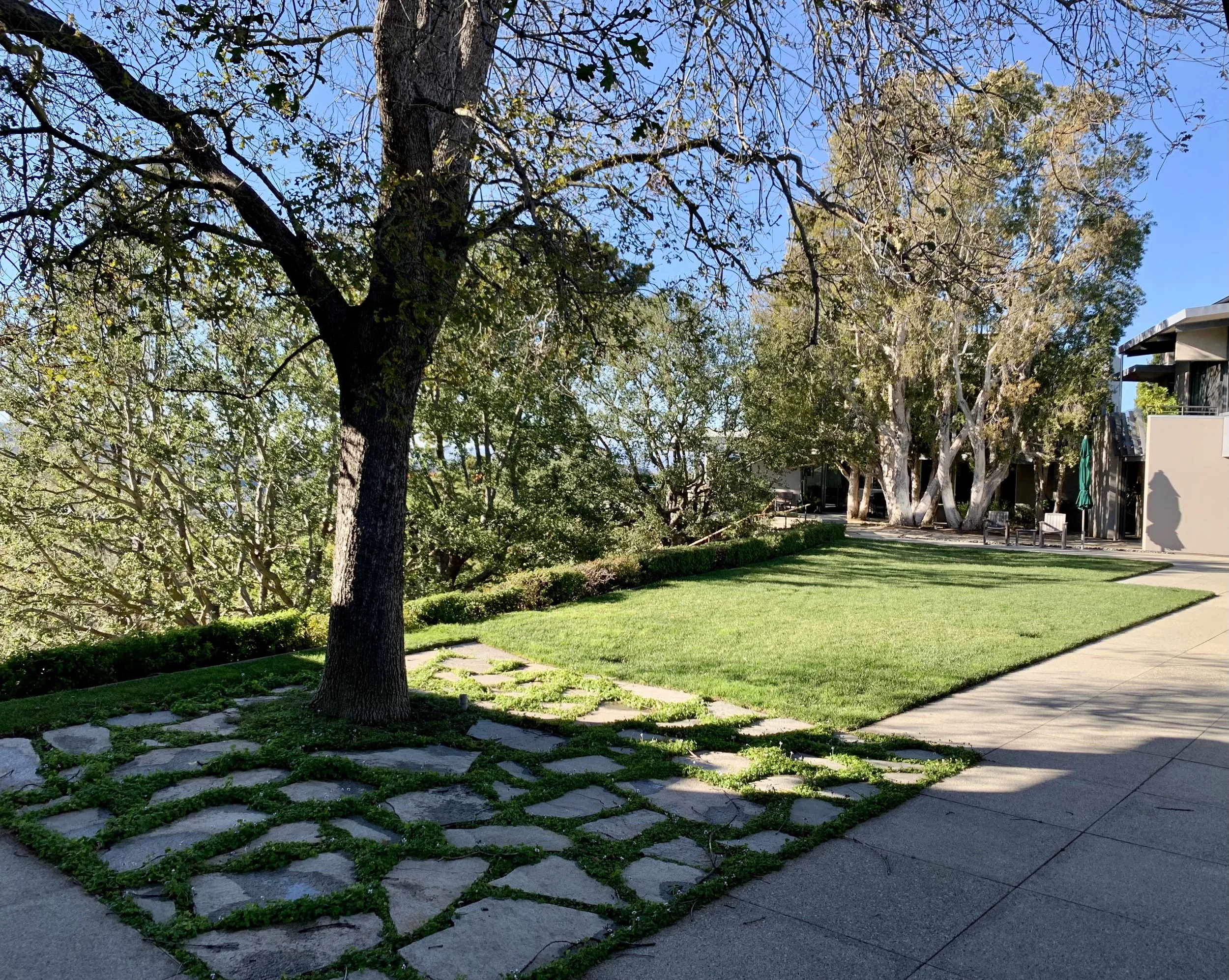 Beverly Hills Residence 