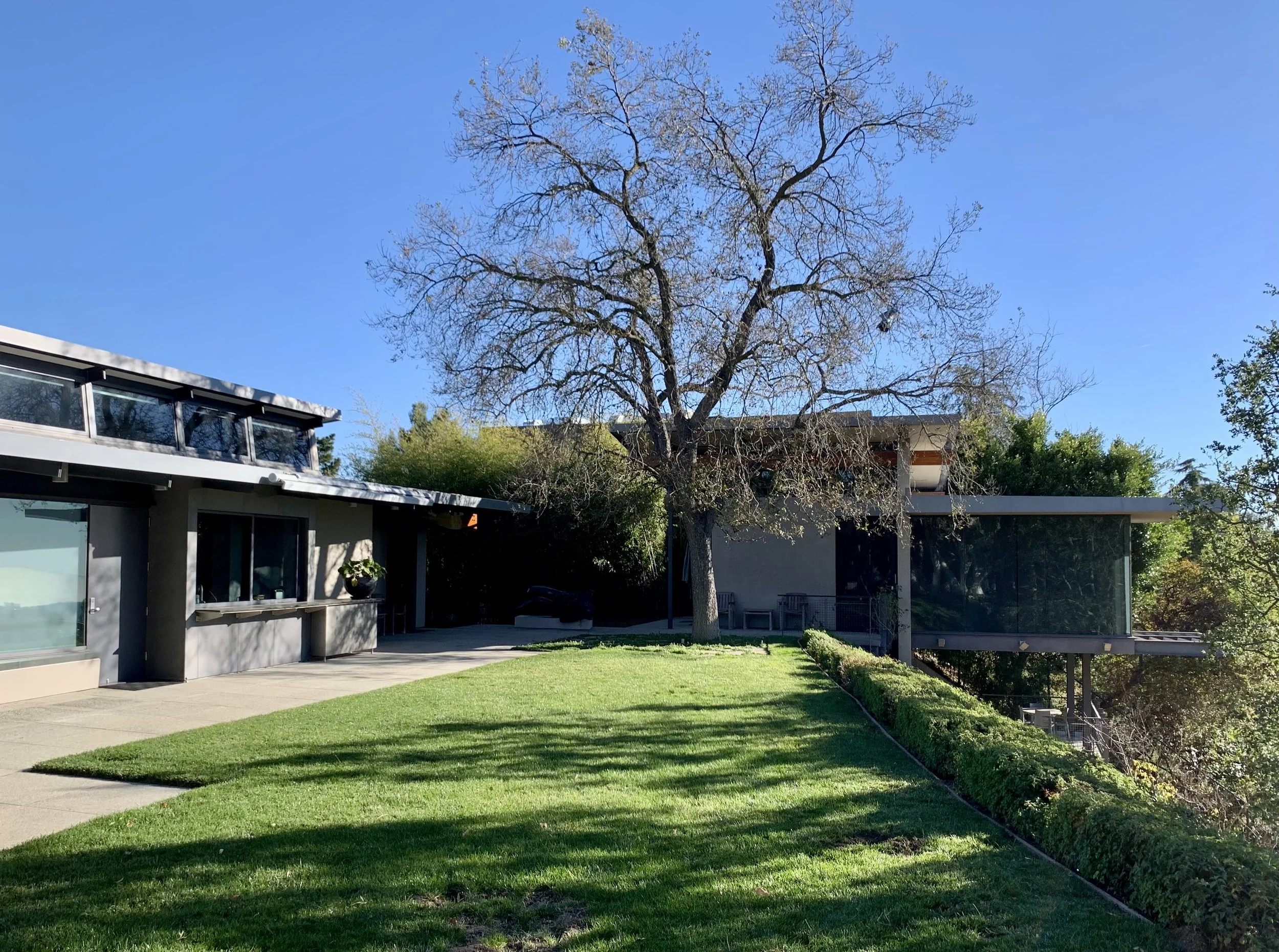Beverly Hills Residence 