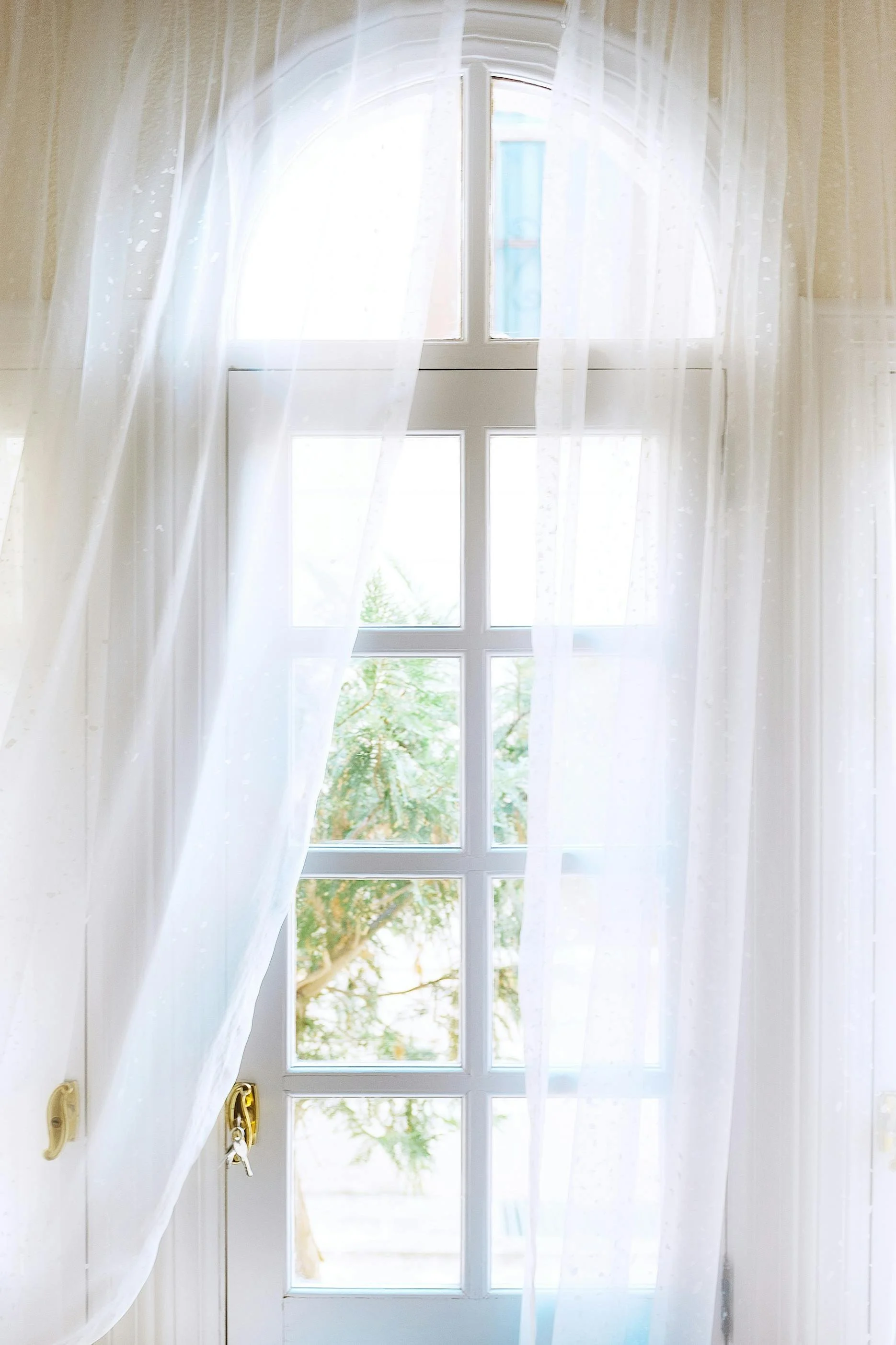 Door with a glass window looking outside, sheer white curtains on either side, sunlight shining through, and trees visible outside.