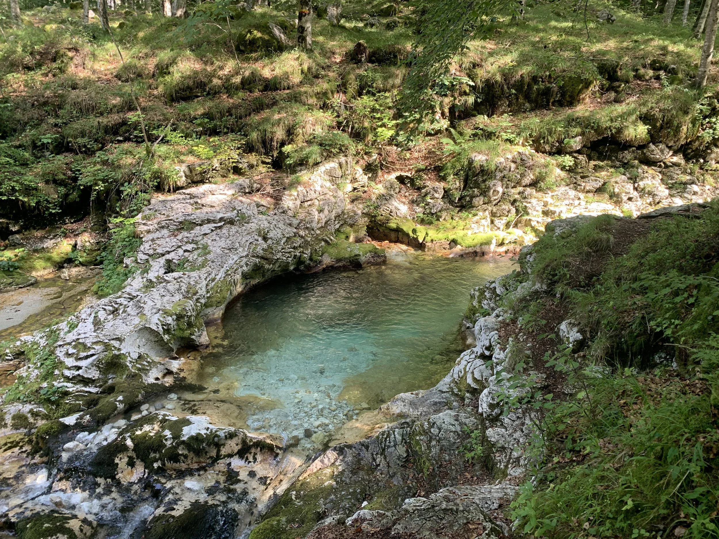 IMG_4414.jpeg