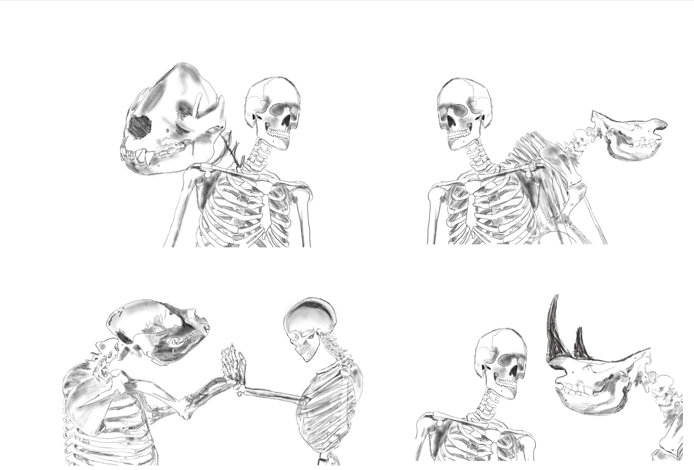Animal Conservation designs

Left side skeletons are Giant Pandas
Right side skeletons are Rhinos 