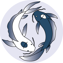Ying Yang Koi - Sticker Design