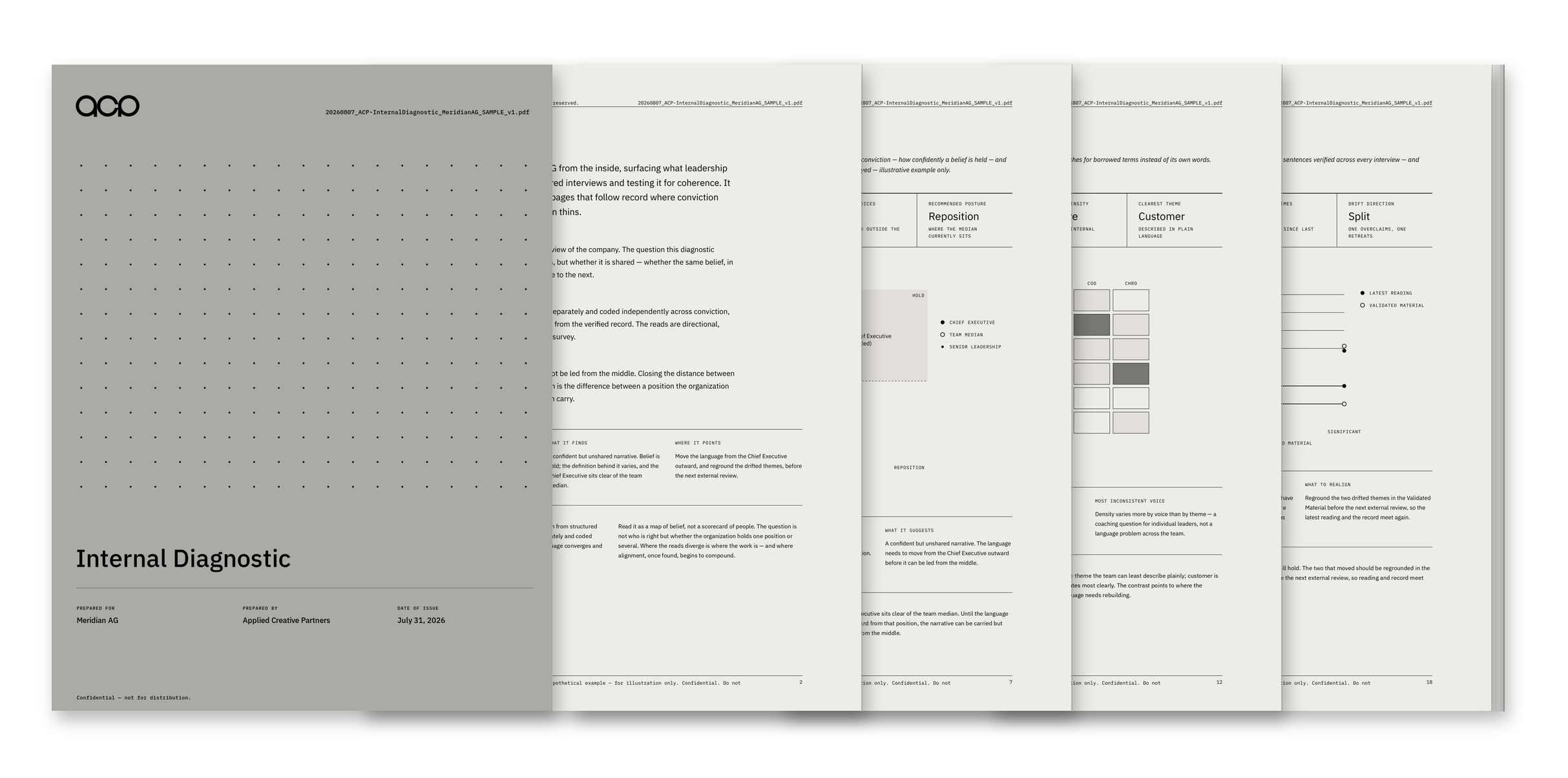 Internal Diagnostic sample — Meridian AG (hypothetical example)