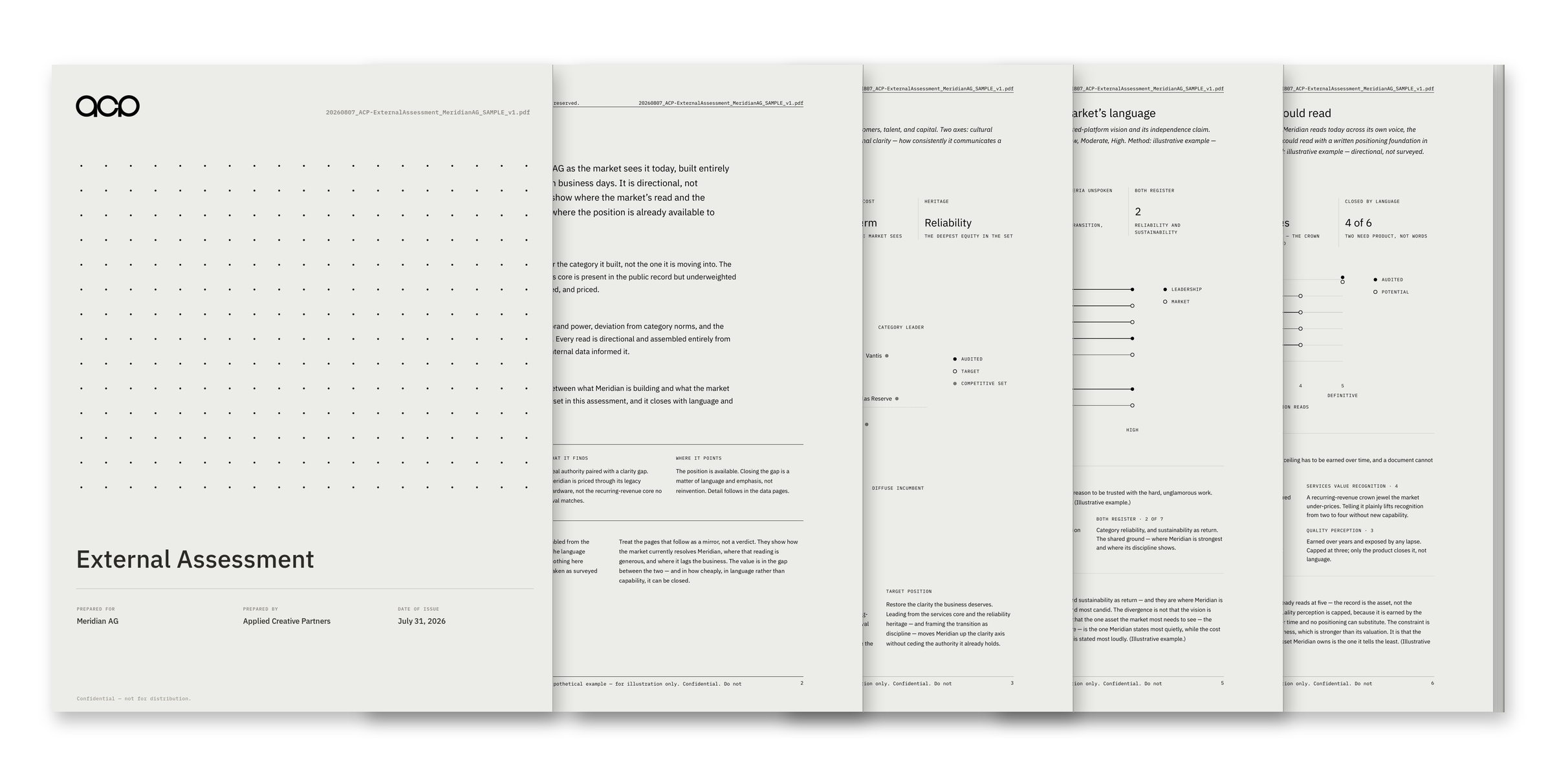 External Assessment sample — Meridian AG (hypothetical example)