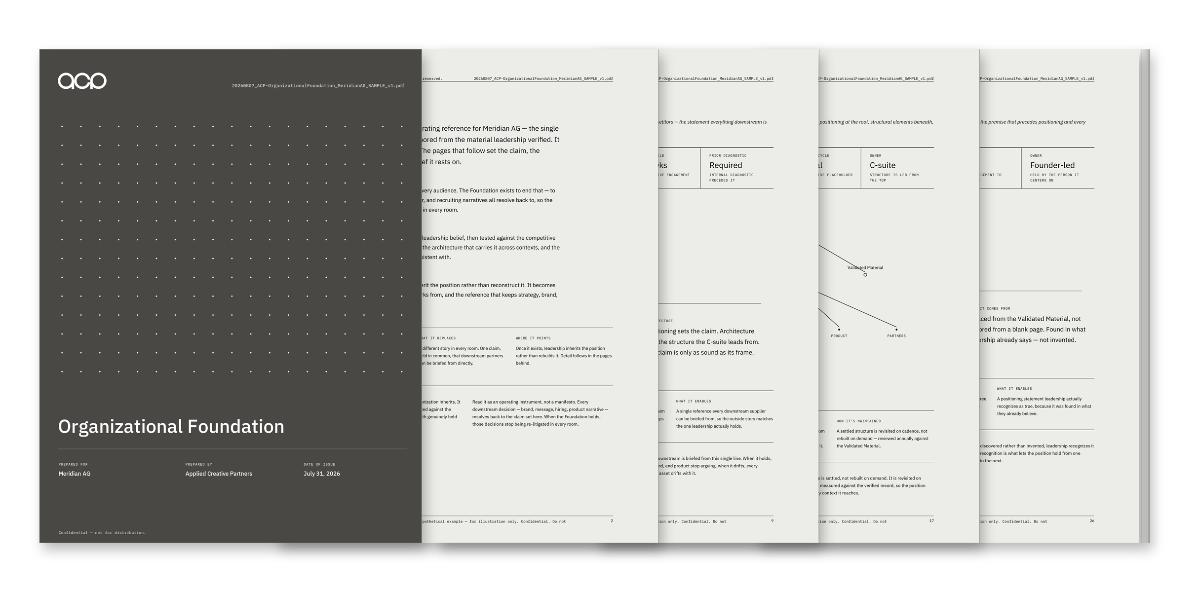 Organizational Foundation sample — Meridian AG (hypothetical example)