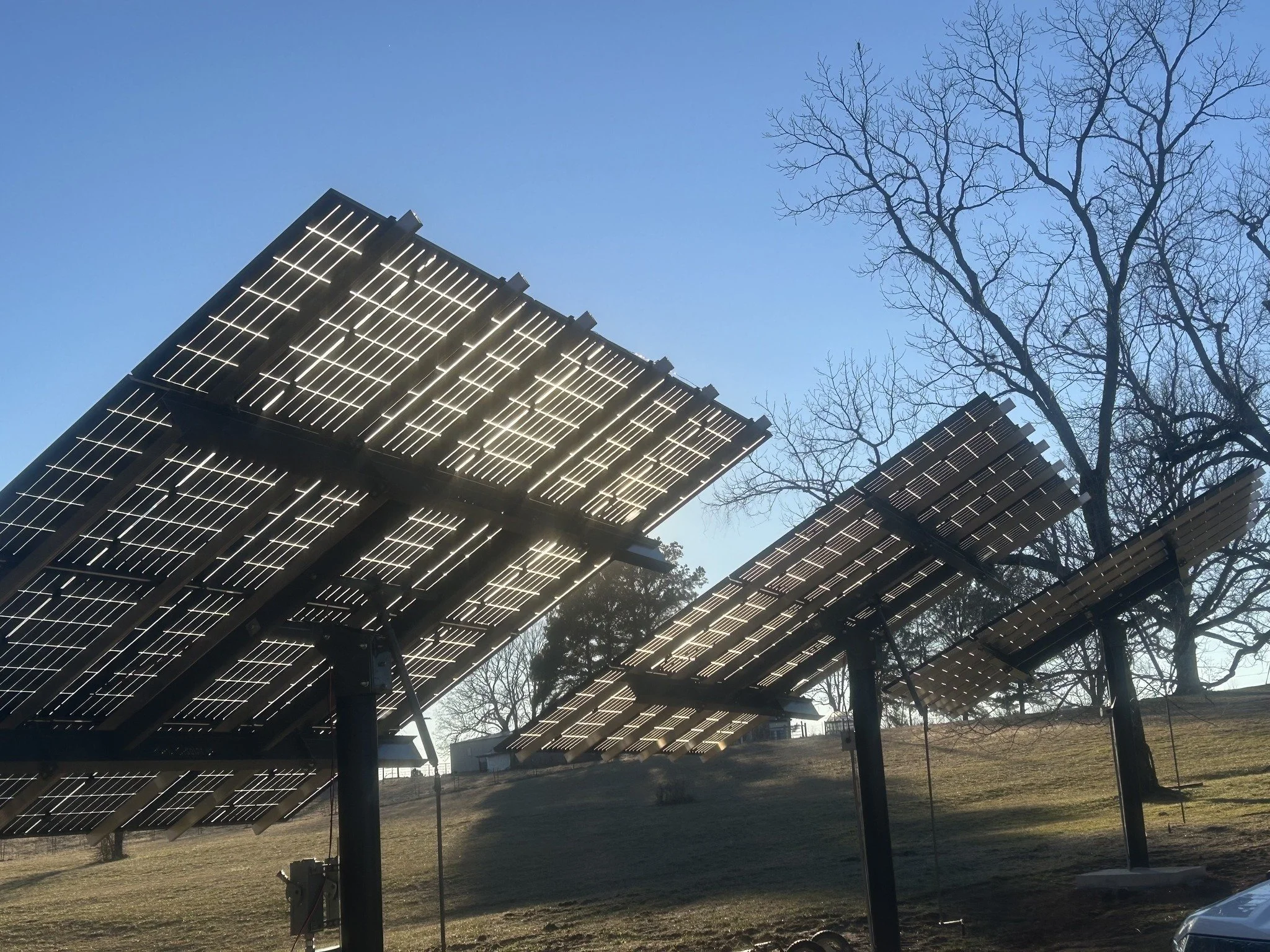 Solar panels installed outdoors on a sunny day, with leafless trees and a clear blue sky in the background.