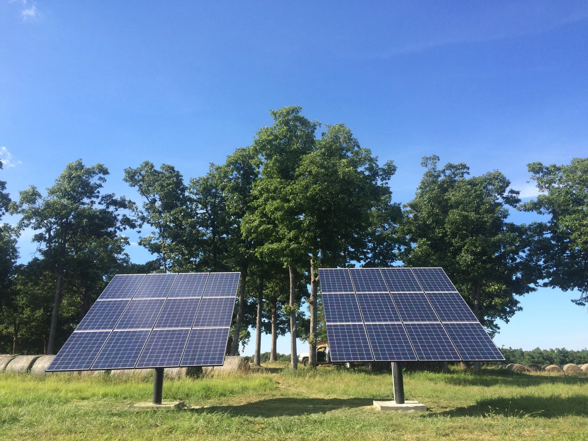 Four solar panels installed on a grassy area with a backdrop of green trees and a bright blue sky.