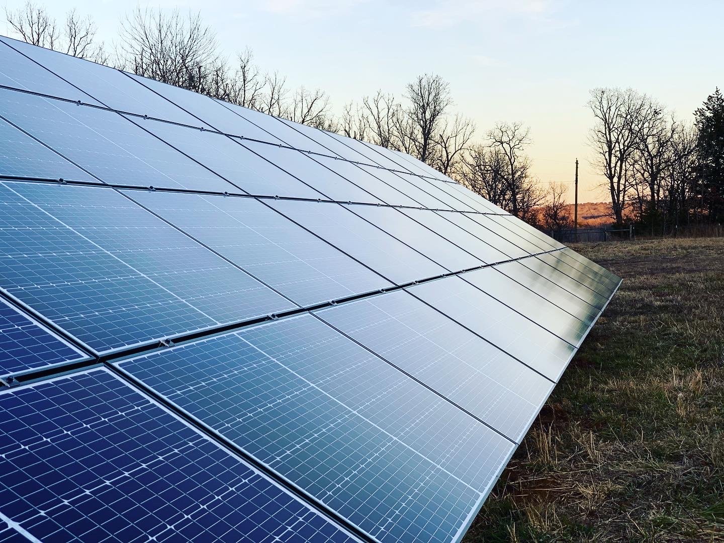 Solar panels installed on a grassy field during sunset with leafless trees and a clear sky in the background.