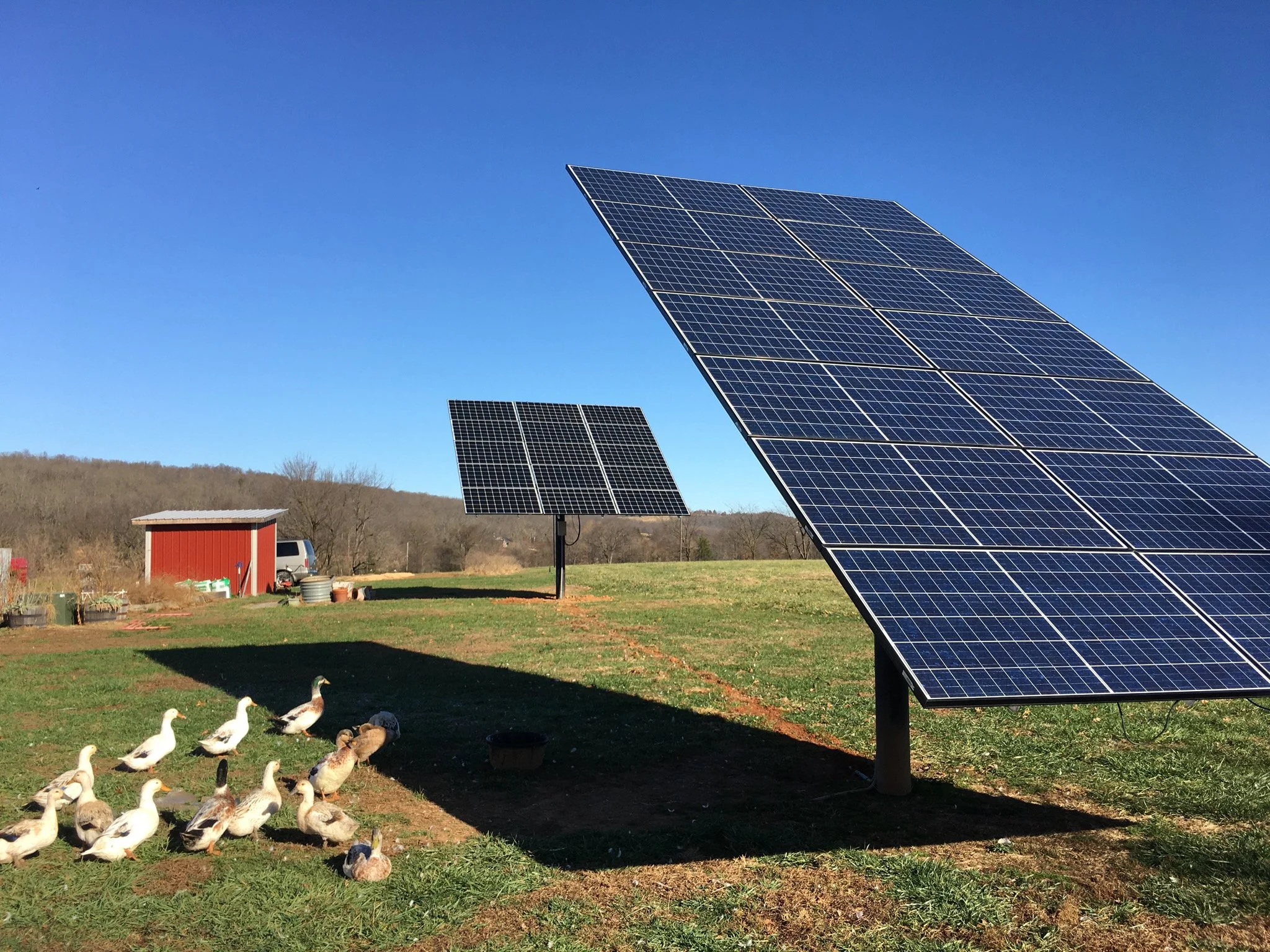 A rural scene with multiple solar panels installed on the ground and a red barn in the background, along with some ducks and geese near the grass.