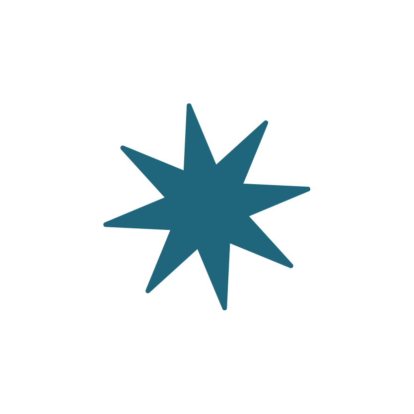 A dark teal, eight-pointed star shape with elongated arms, set against a white background.