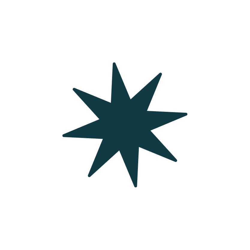 A large, black eight-pointed star shape with a three-dimensional appearance.