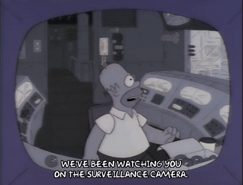Image of Homer Simpson at work with the phrase "We've been watching you on the surveillance camera" at the bottom of the image.