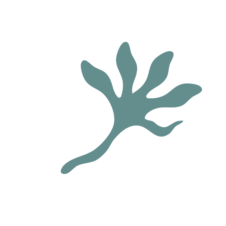 A simplified, stylized illustration of a sprouting plant with a curved stem and five elongated leaves