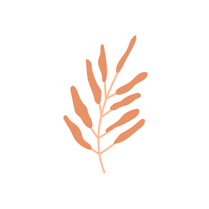 Minimalist illustration of a brown botanical branch with elongated leaves on a white background.