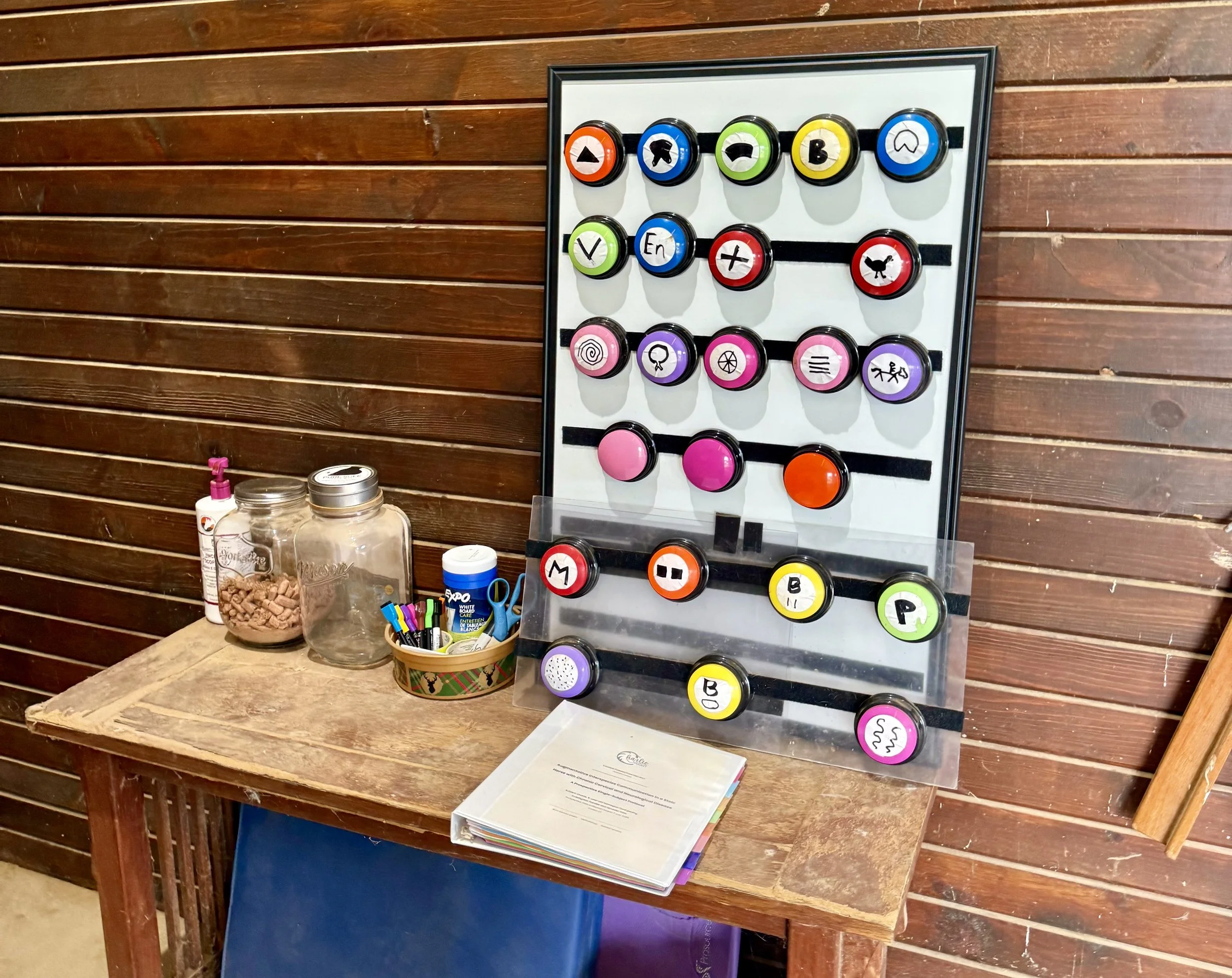 How We Got Started With Augmentative Interspecies Communication (Buttons)