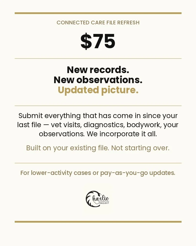 Connected Care File Refresh