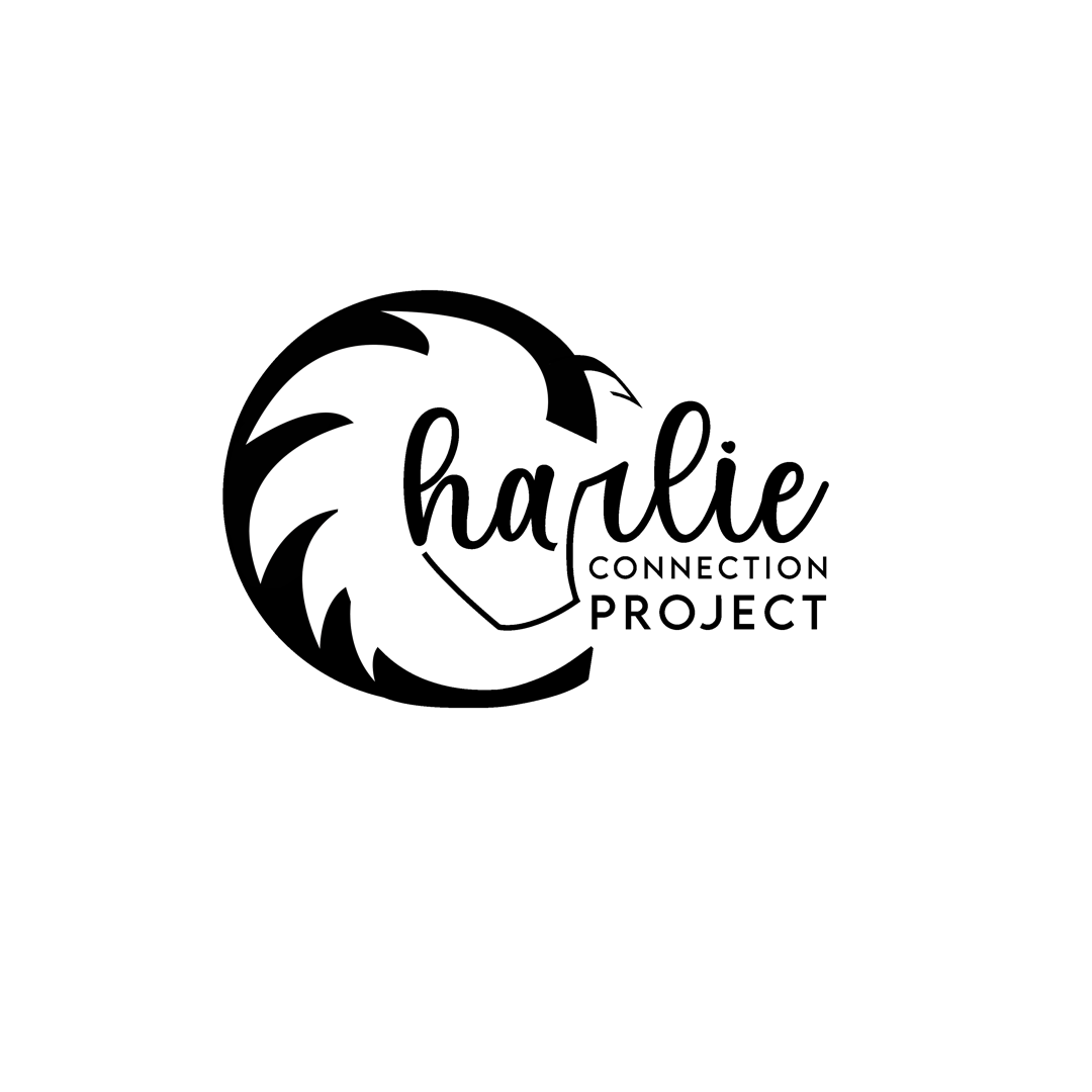 Outline illustration of a lion's head with a stylized mane.