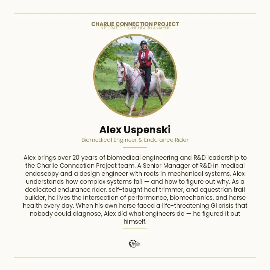 Profile card for Alex Uspenski, highlighting his work in biomedical engineering and endurance riding, with a photo of him riding a gray horse outdoors.
