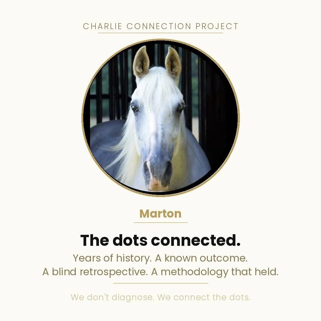 A promotional poster for the Charlie Connection Project featuring a white horse named Marton in a circular frame, with text about connecting the dots and the project's mission.