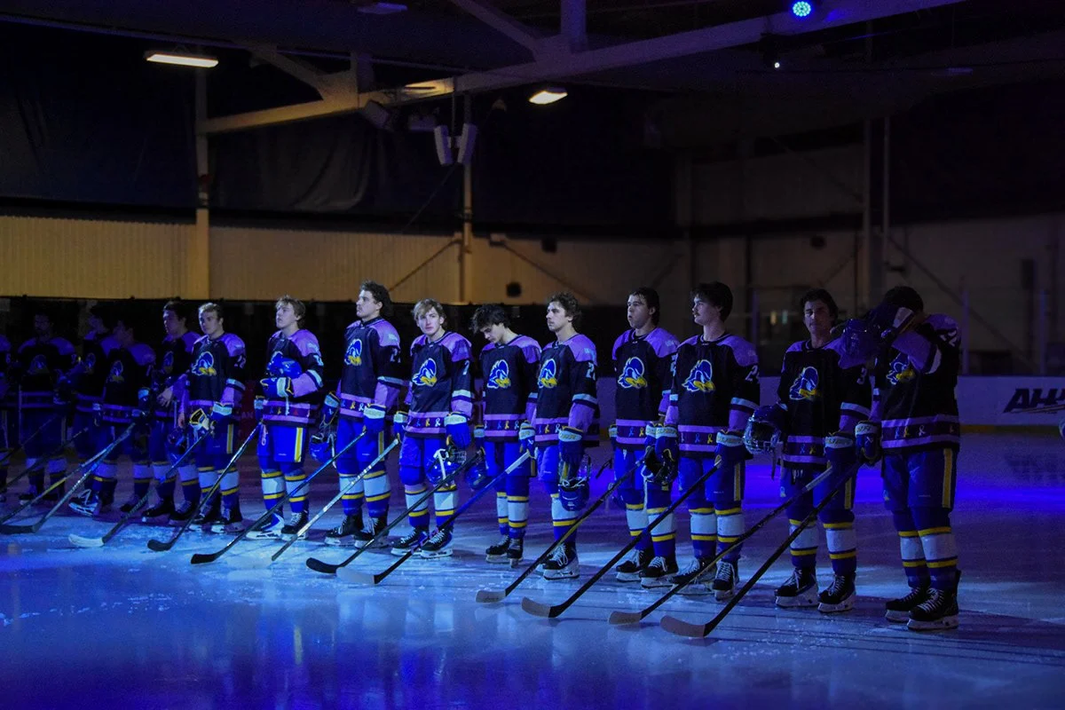 UD vs. Villanova 11:16:25.jpg