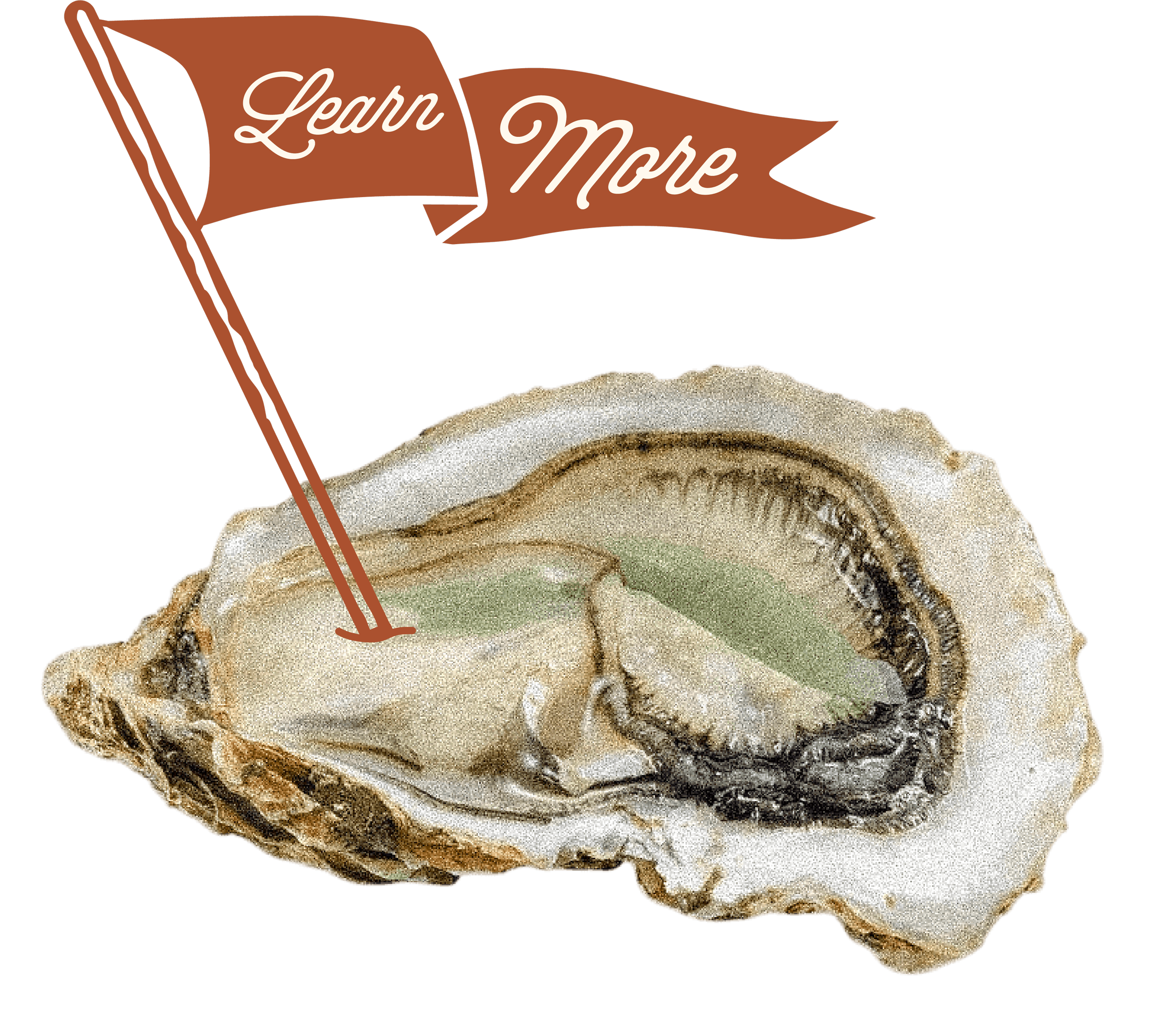 Oyster holding a Learn More Flag