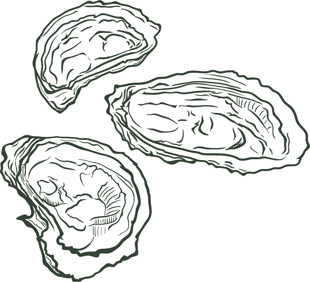 Hand-drawn oysters for The Tides Market branding