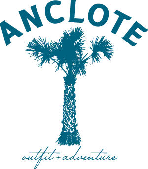 Anclote's main logo design featuring a hand-drawn palm tree