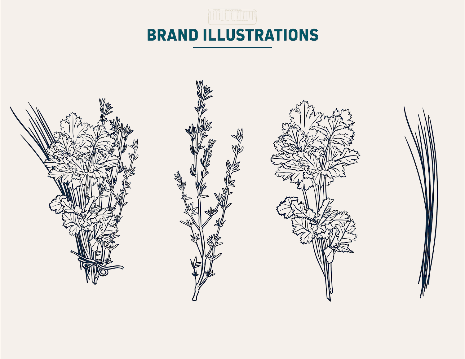 The-Tides-Market-Brand-Illustrations-4.png