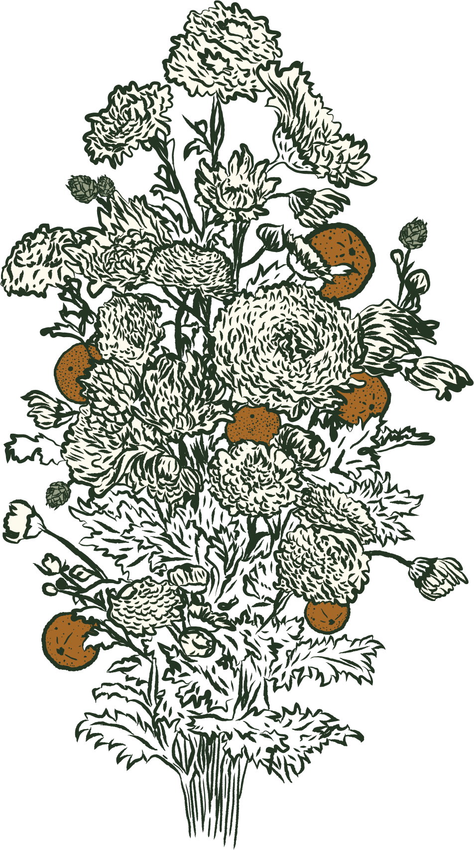 A botanical illustration of white flowers with orange berries and green leaves on a black background.