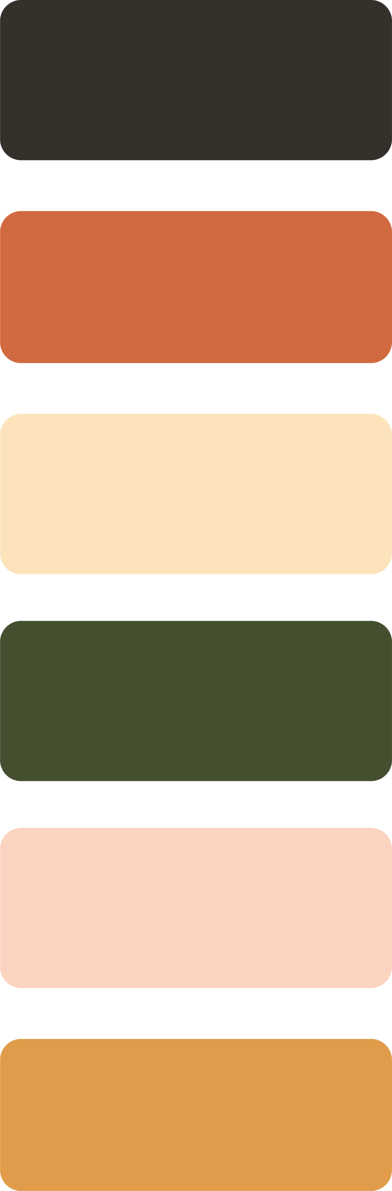 A vertical palette with seven color swatches arranged from top to bottom in the following order: dark gray, terracotta, beige, dark green, light pink, burnt orange.