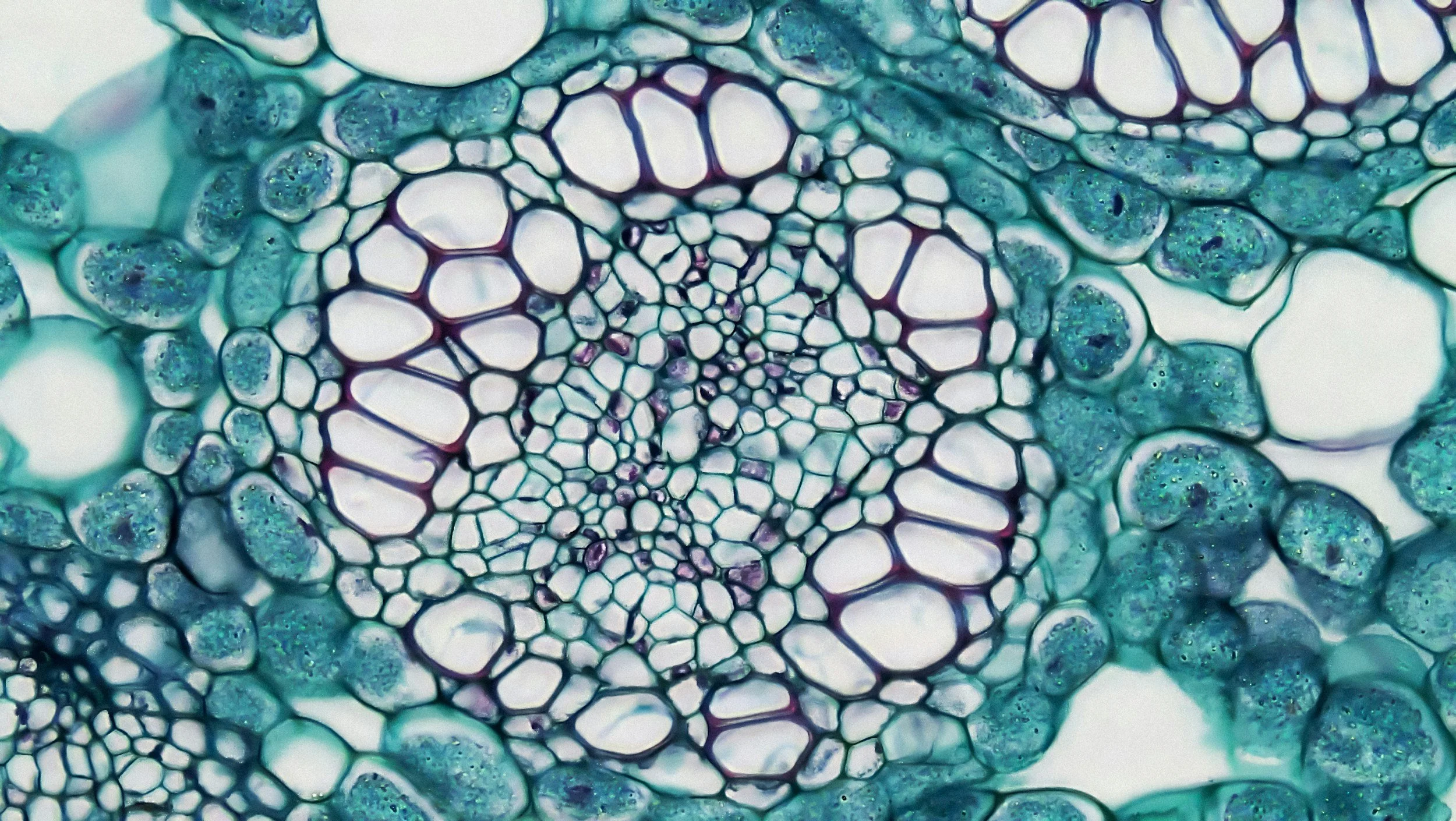 Biotechnology company developing targeted drug delivery systems